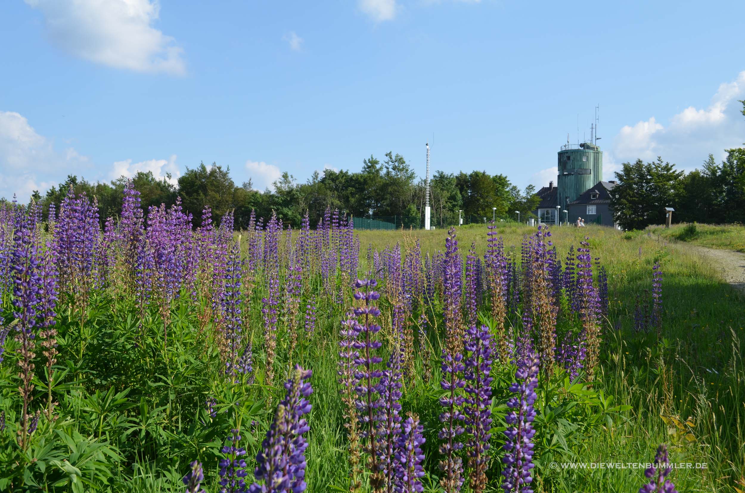 Schöne Landschaft Schöne Landschaft