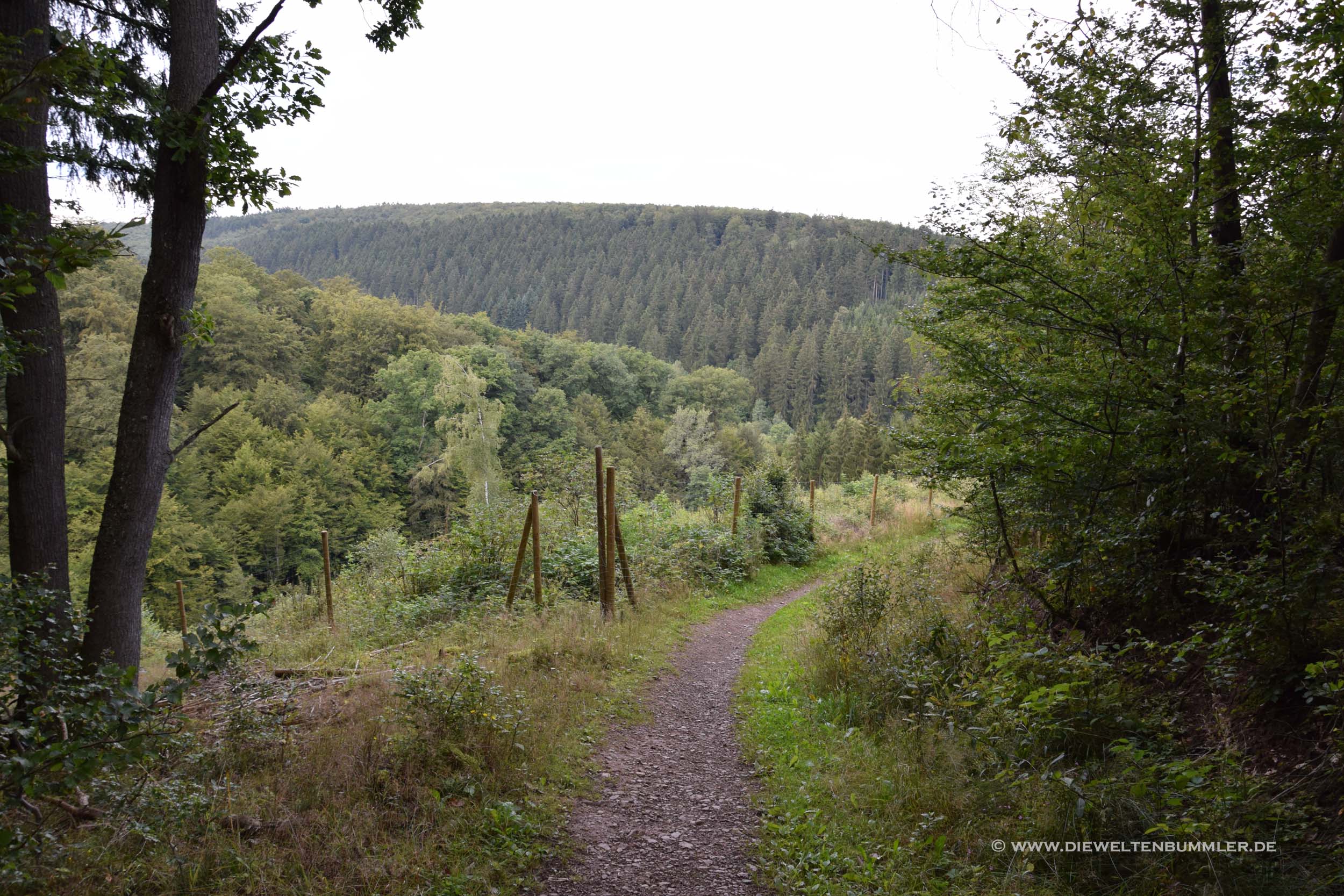 Waldweg