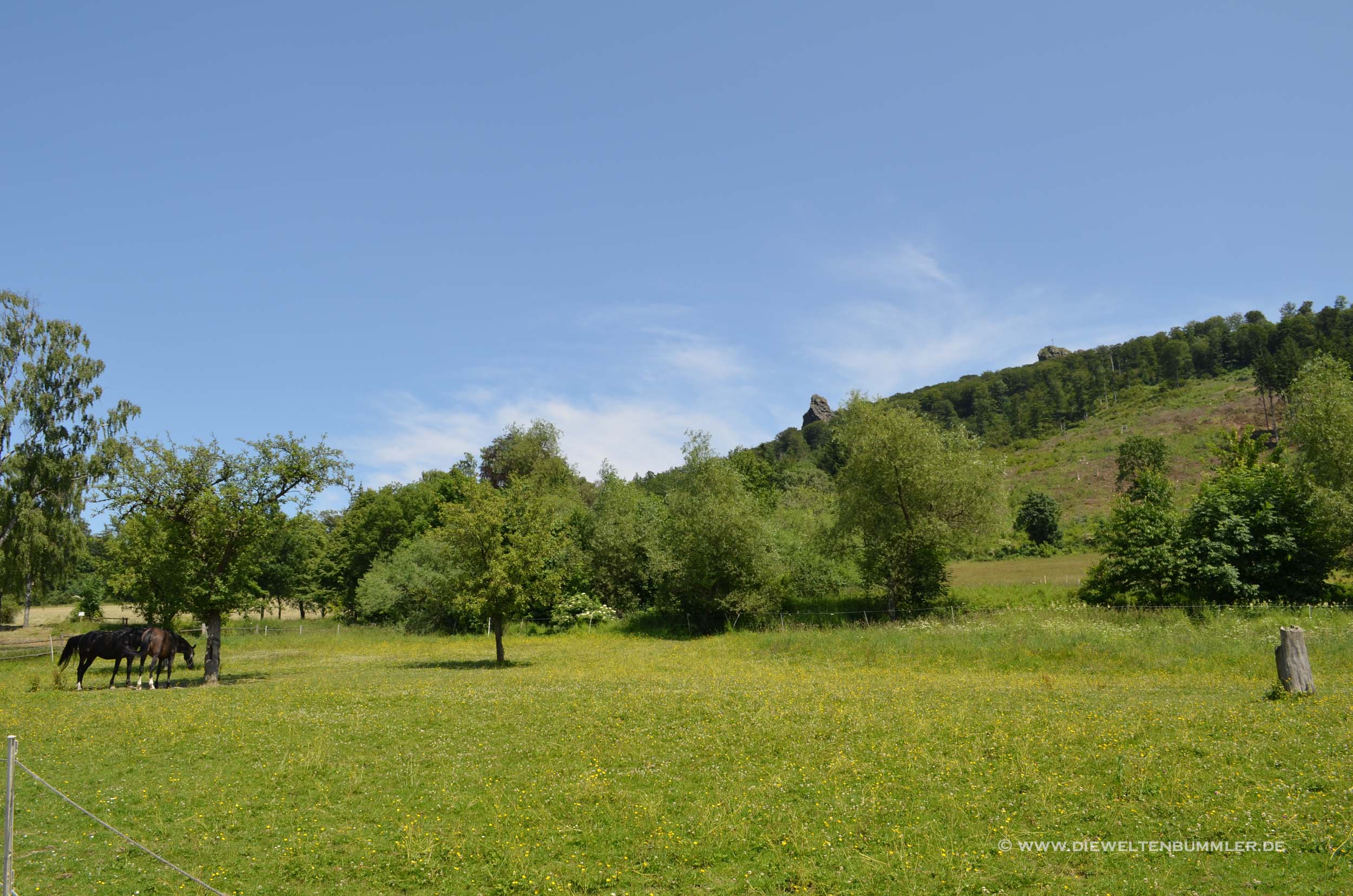 Wandern am Langenberg