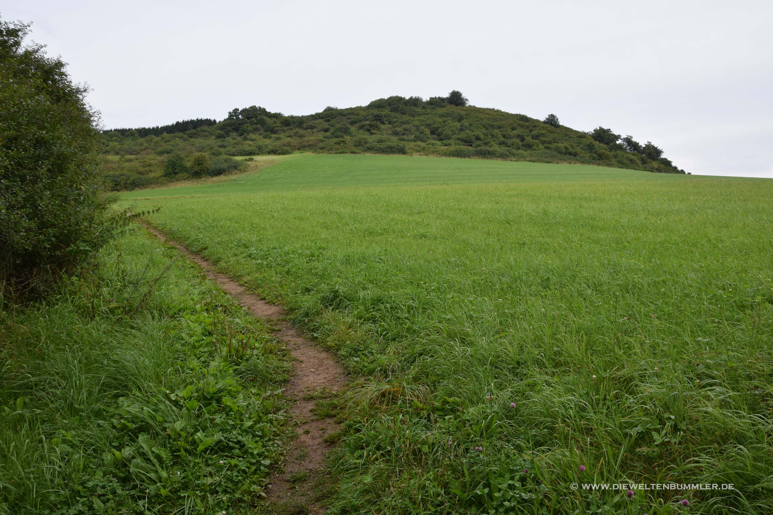 Wandern am Waldrand