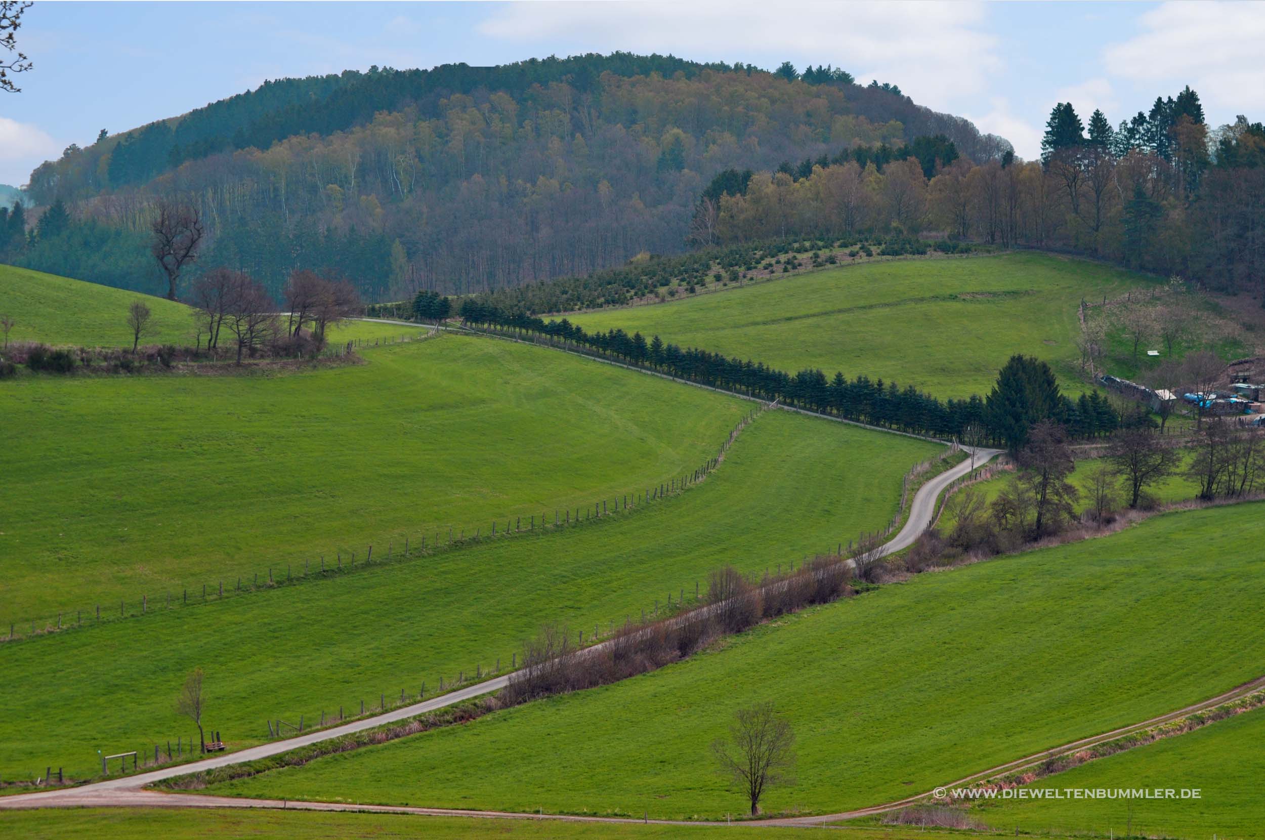 Wandern mit Aussicht