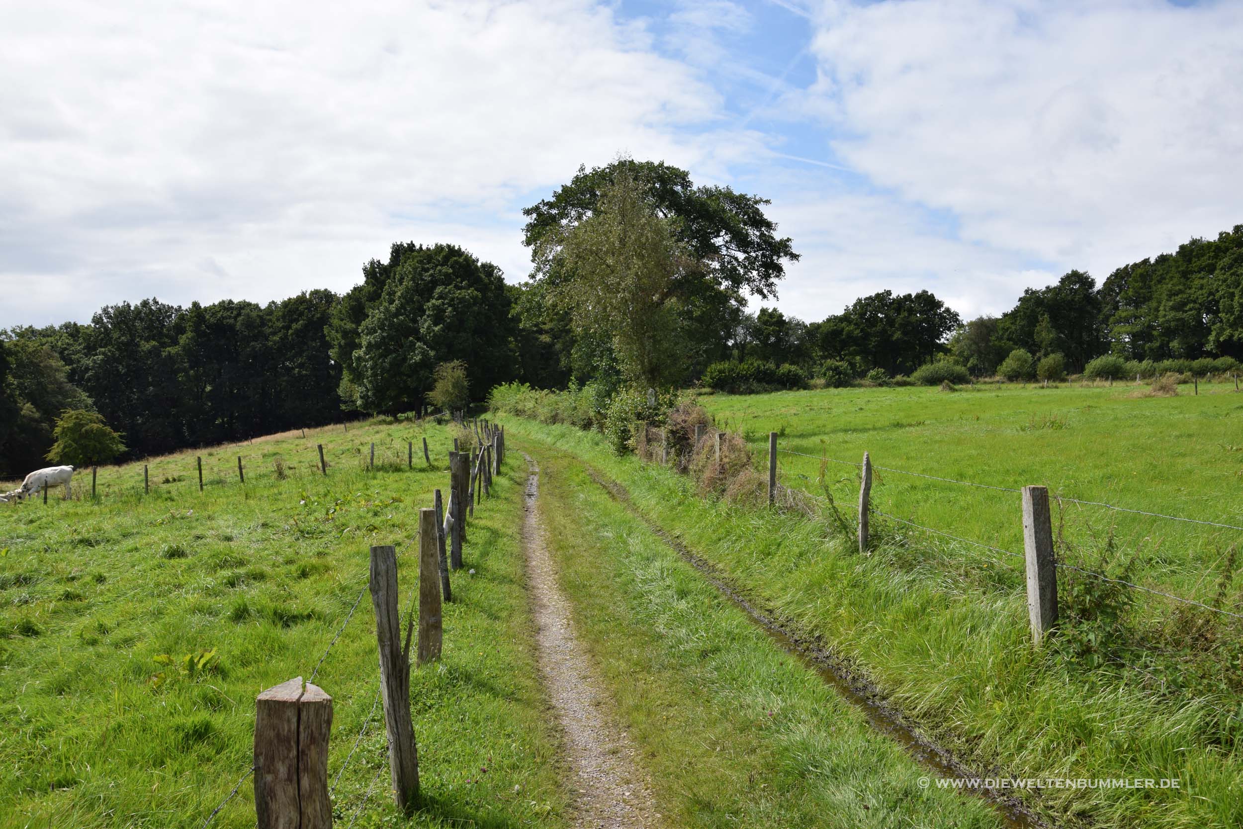 Wanderweg Eifelsteig Wanderweg Eifelsteig