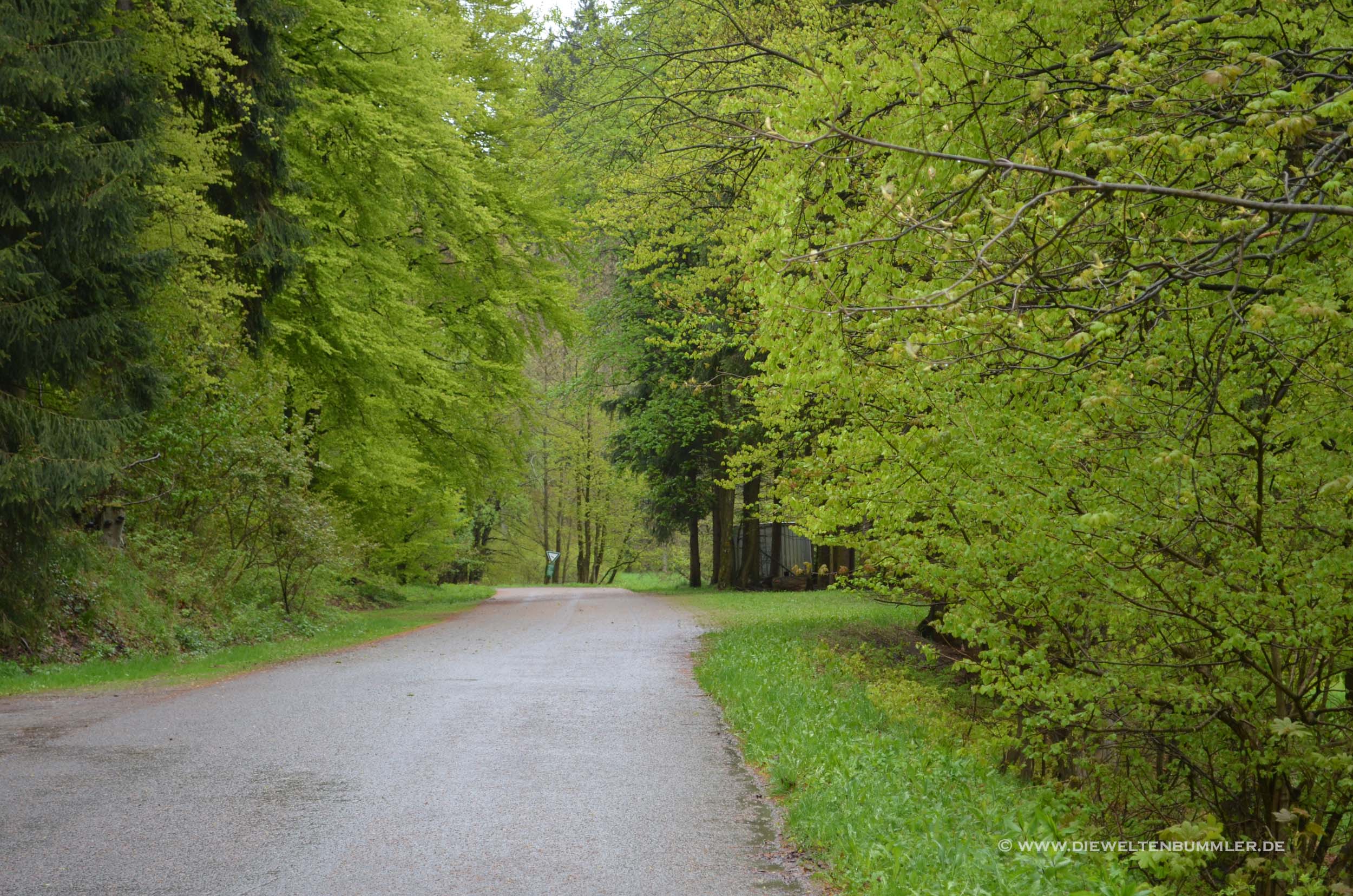 Wanderweg im Sauerland