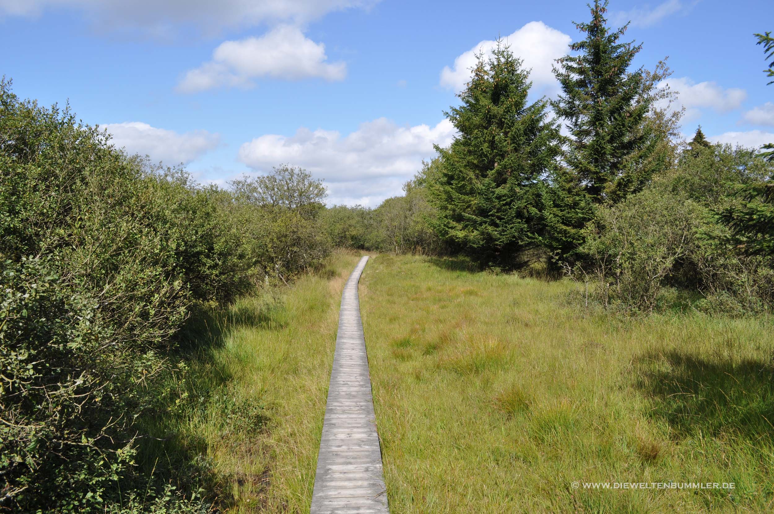 Wanderweg in der Eifel