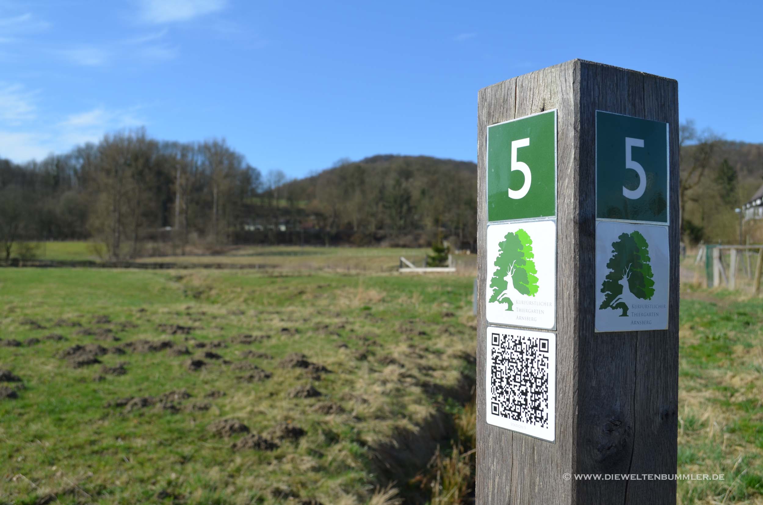 Wegweiser im Sauerland