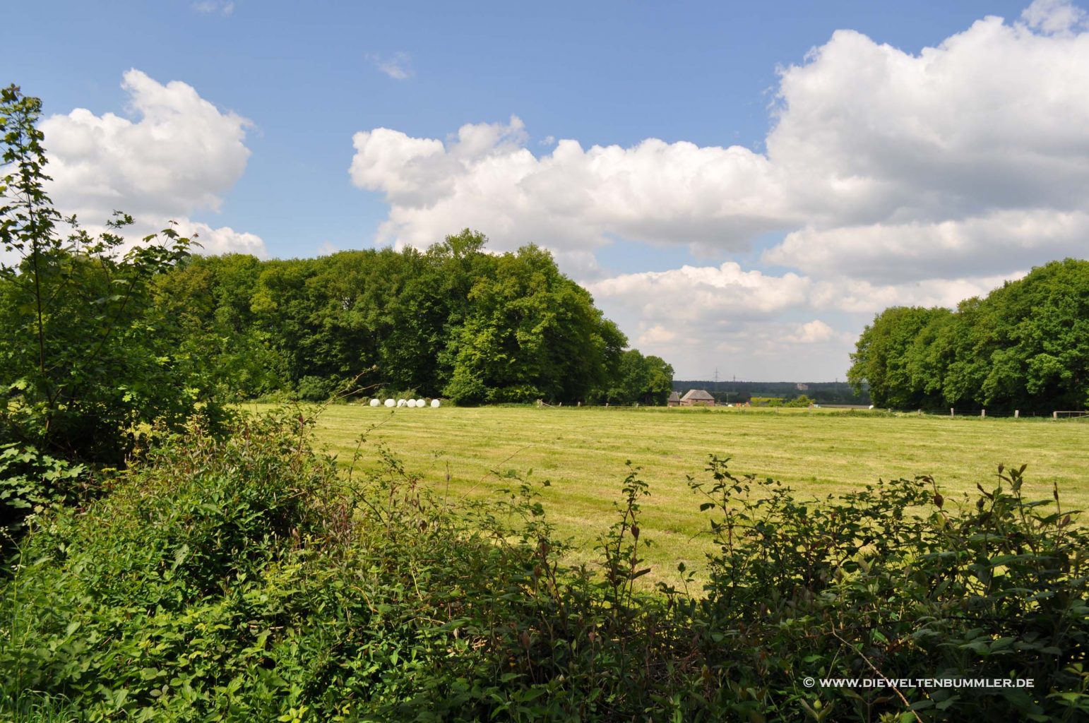 Wandern rund um Bonn – Im Süden vom Kottenforst