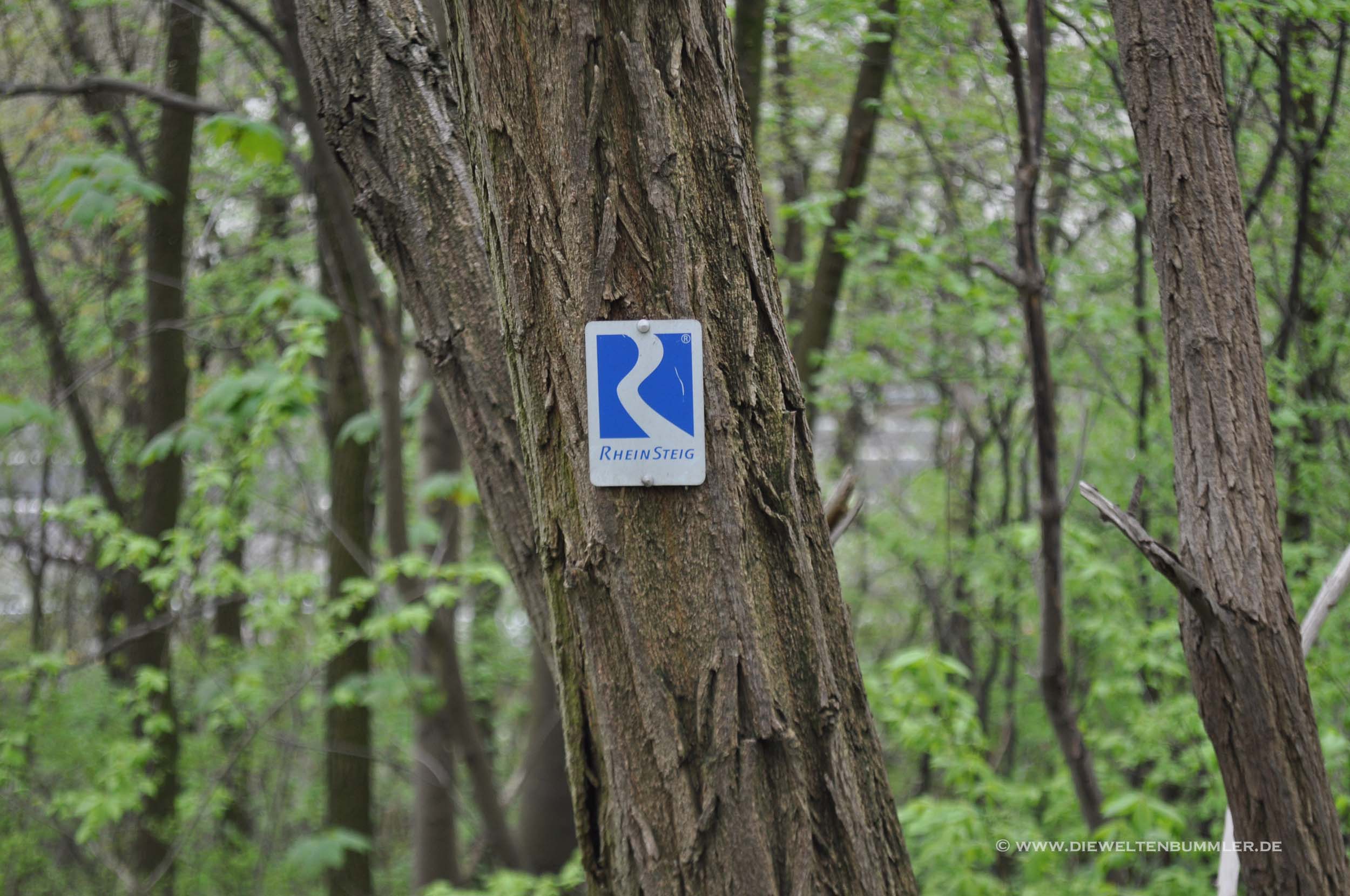 Hinweis auf den Rheinsteig Hinweis auf den Rheinsteig