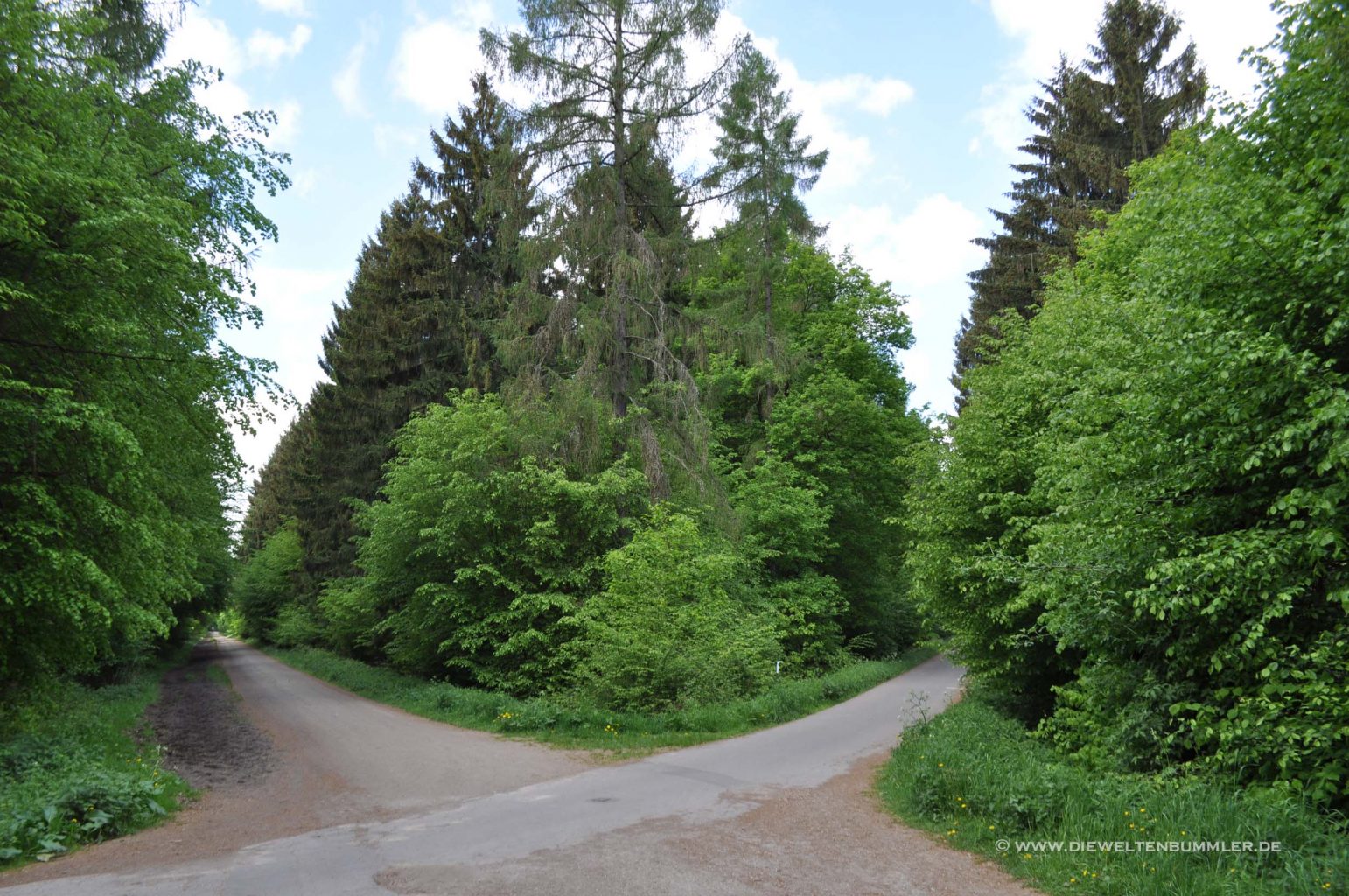 Wandern rund um Bonn – Im Zentrum vom Kottenforst