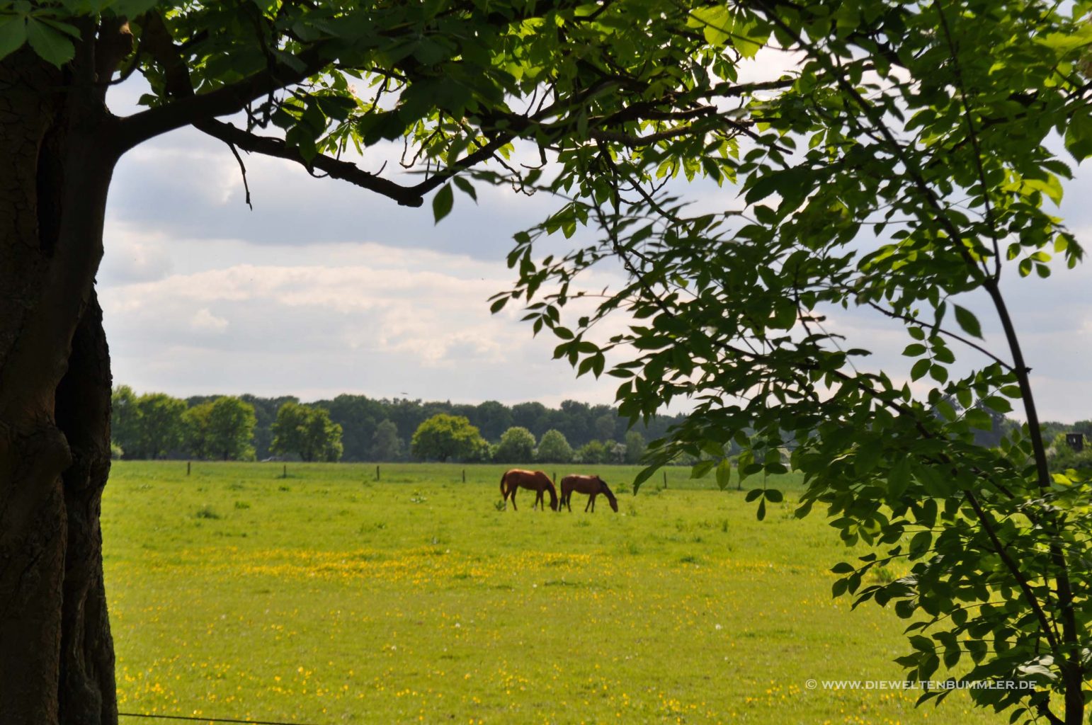 Wandern rund um Bonn – Klufterbachtal