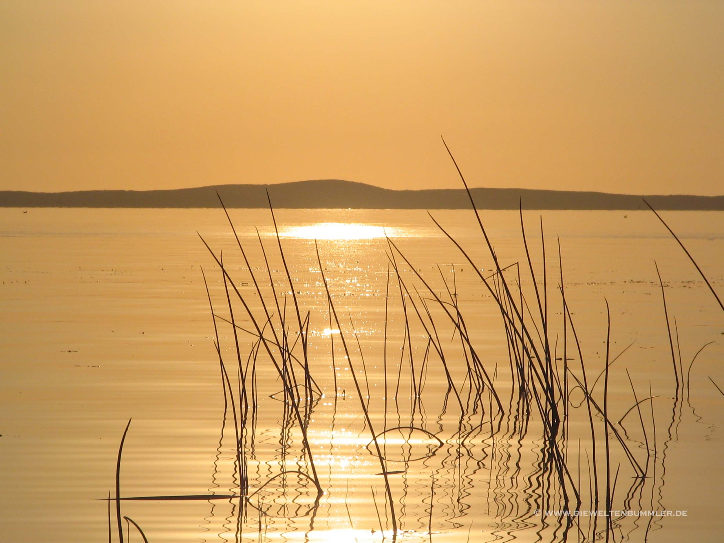 Sonnenuntergang an der Kurischen Nehrung