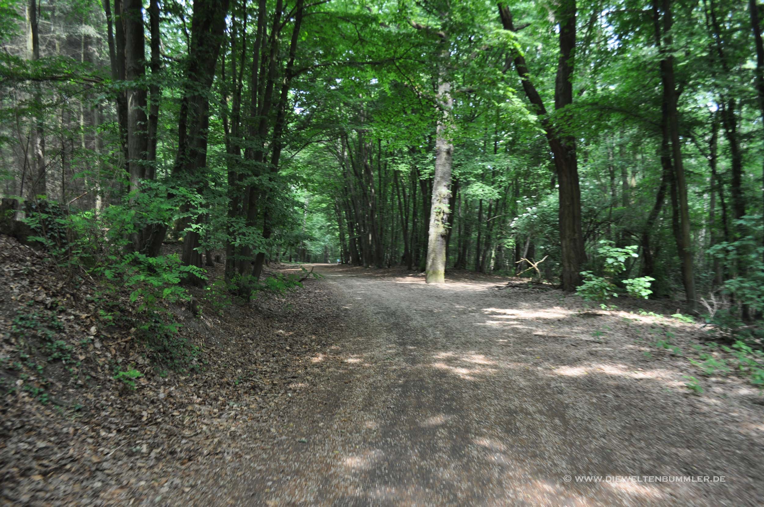 Waldweg