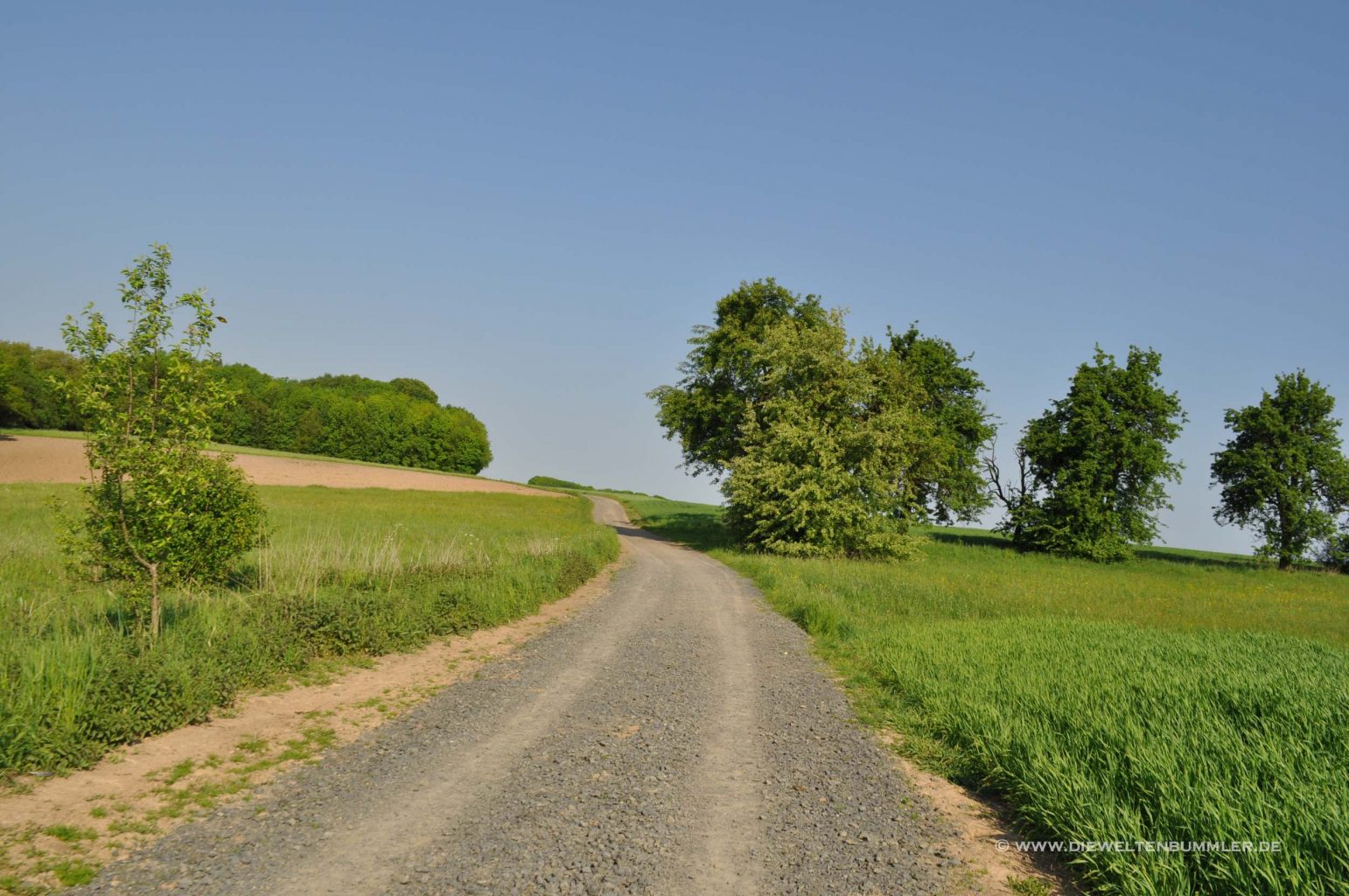 Wandern rund um Bonn – Dollendorfer Hardt