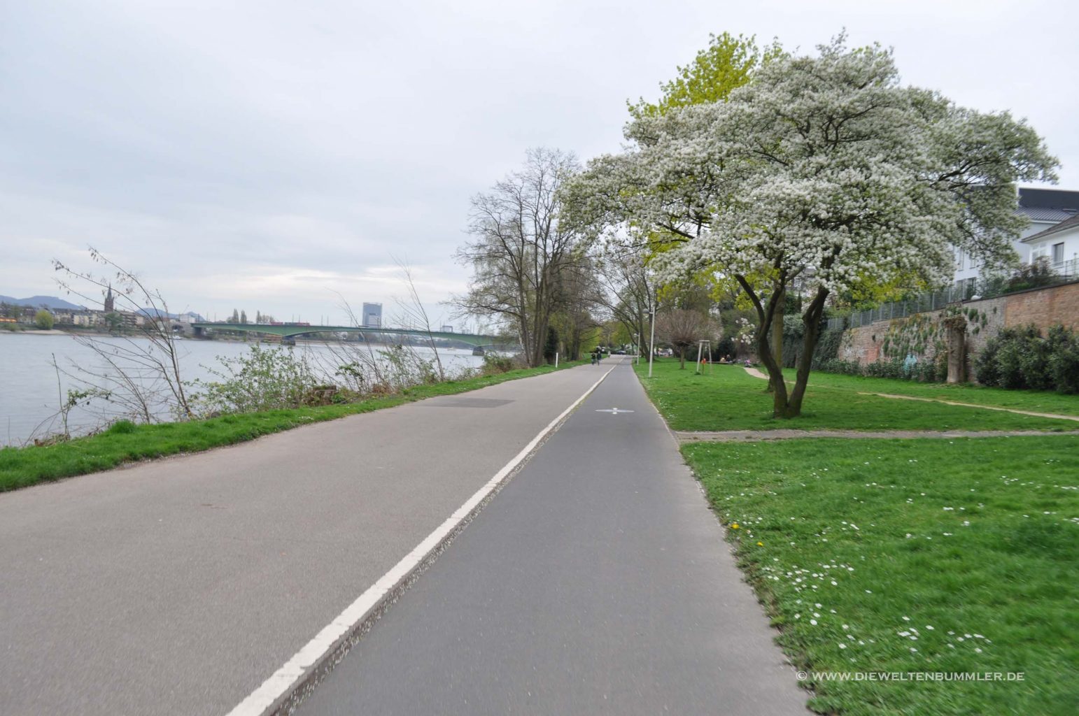 Wandern rund um Bonn – Von Beuel nach Bonn