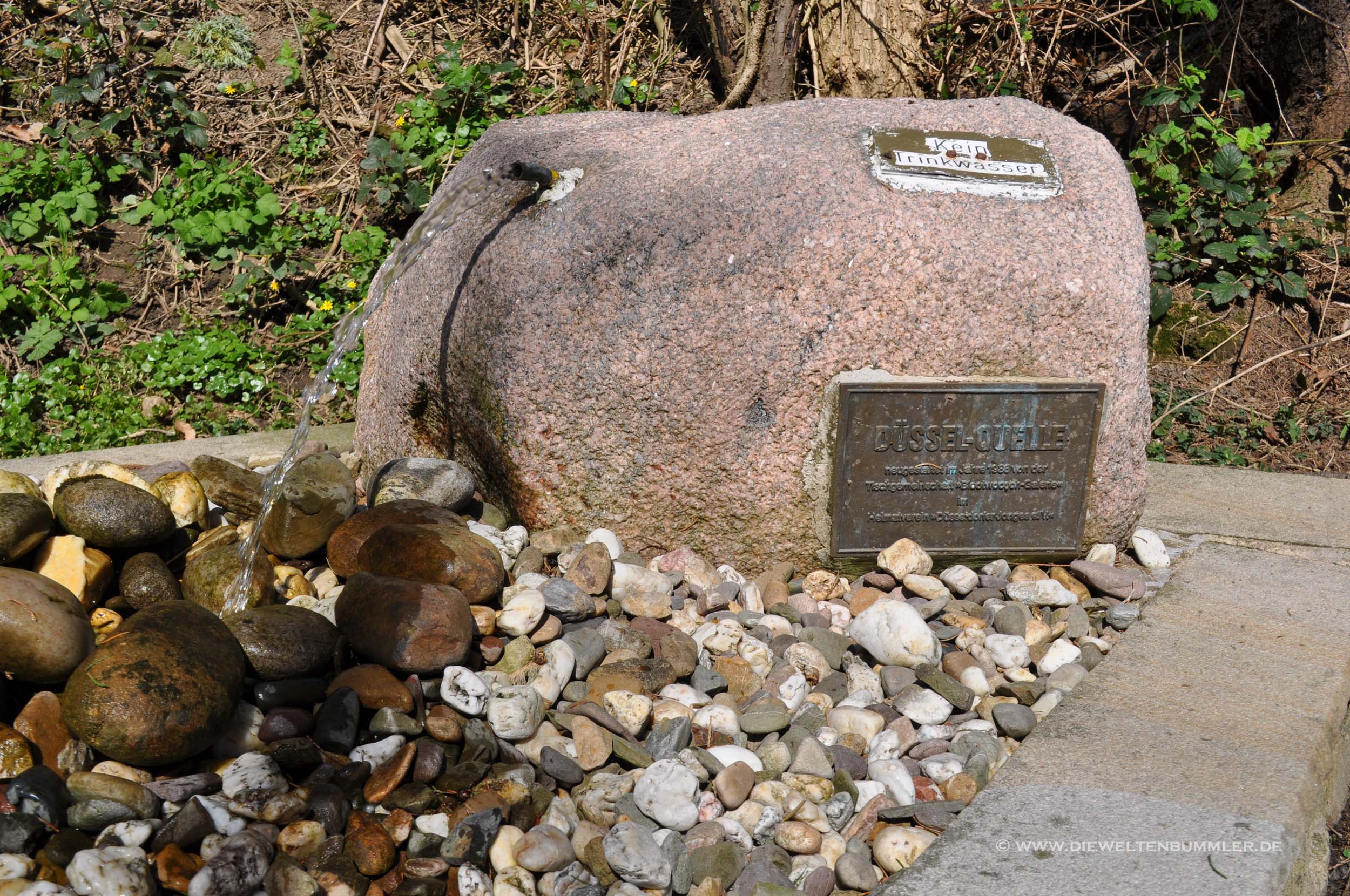 Düsselquelle