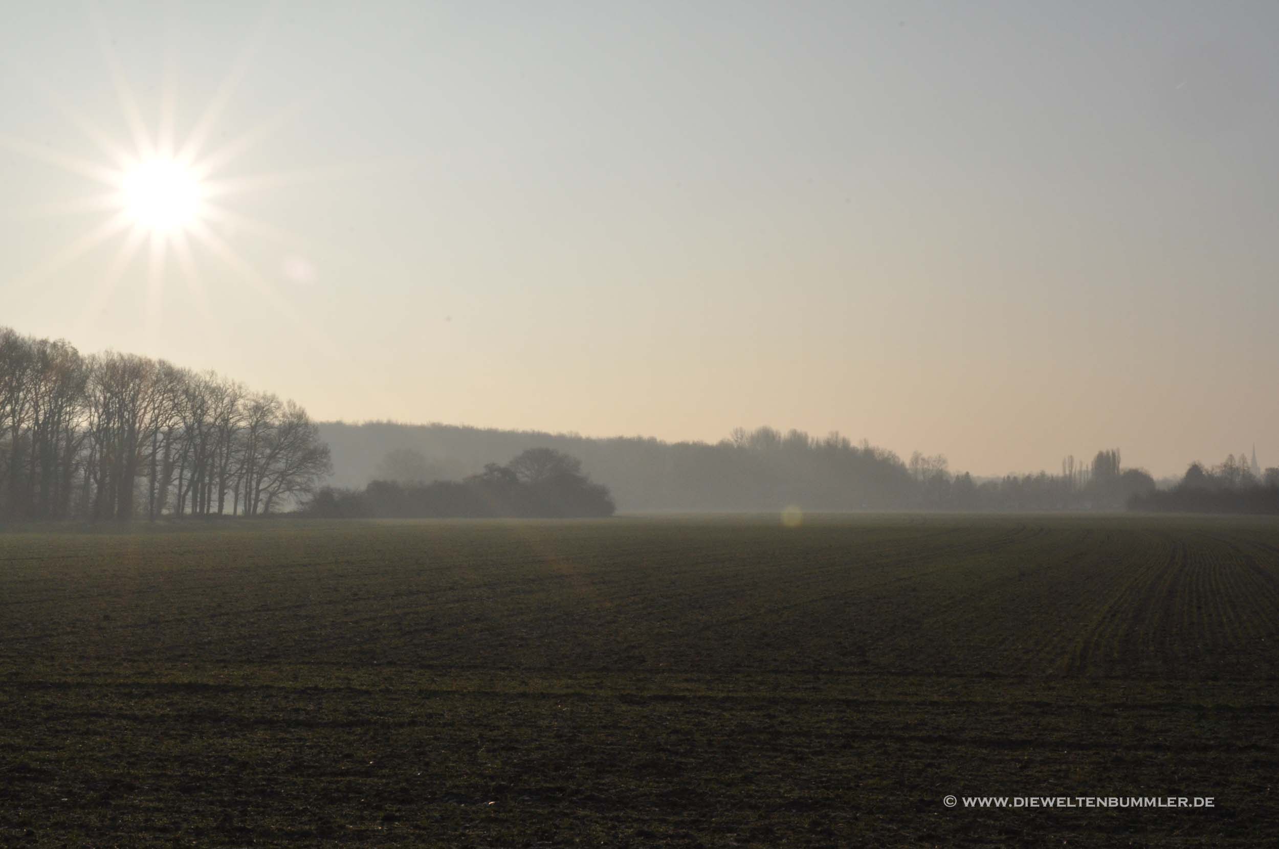 Morgennebel