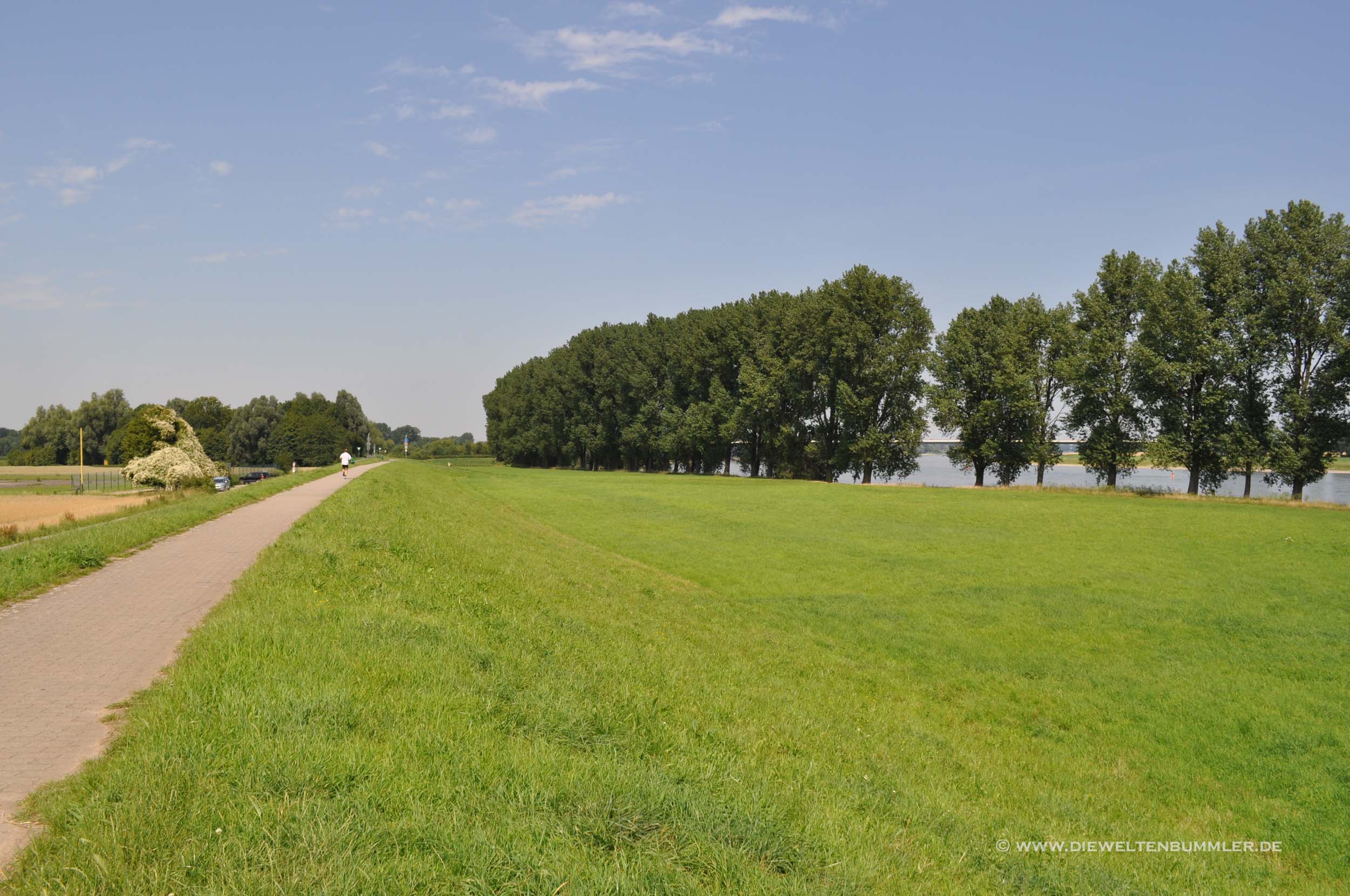 Wandermöglichkeit am Rheinufer