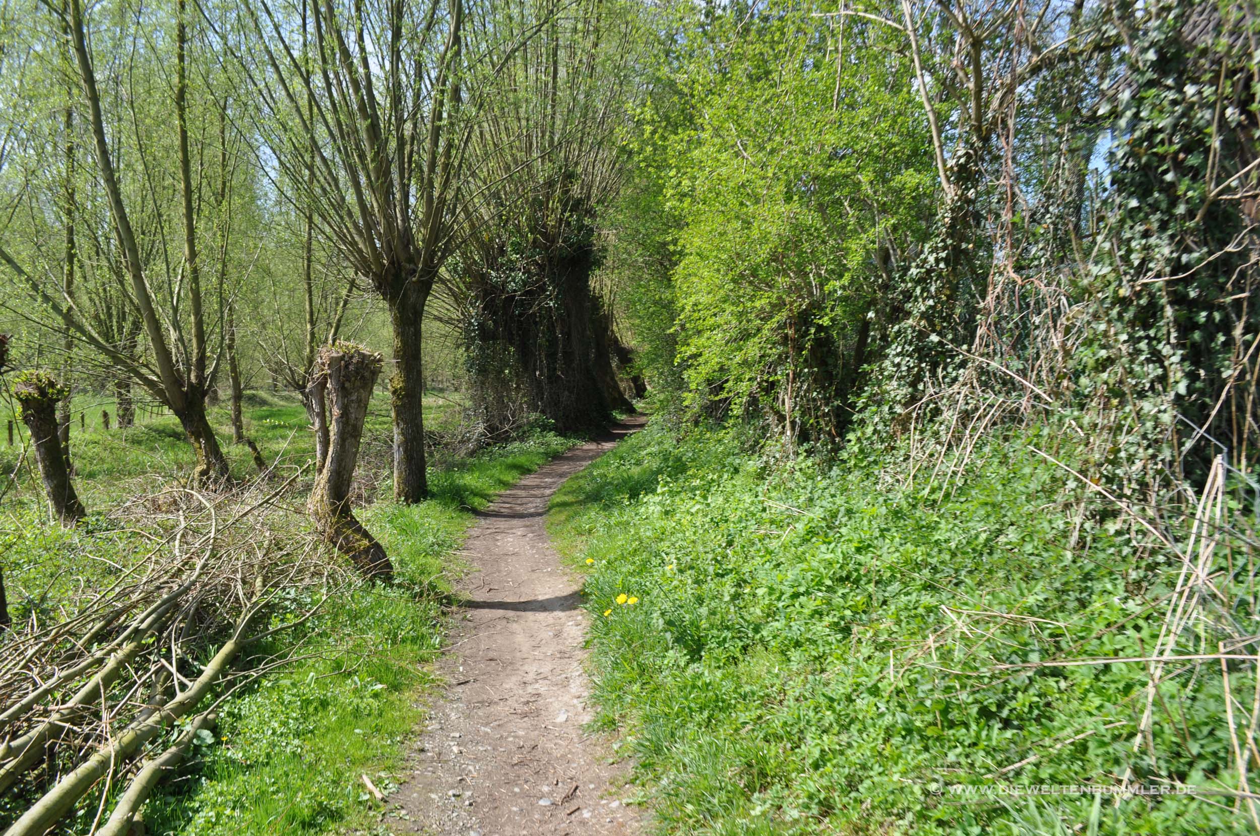 Wanderweg Wanderweg