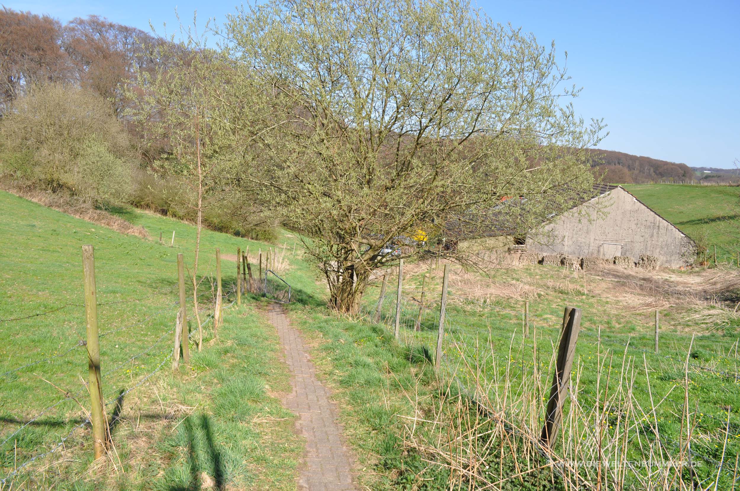 Wanderweg