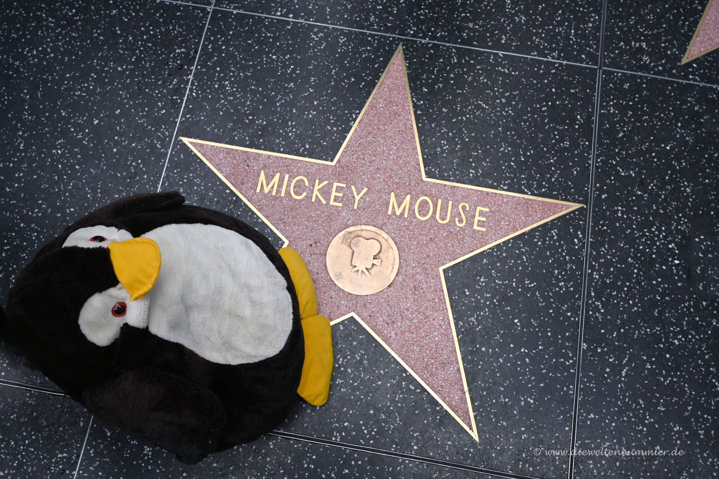 Auf dem Walk of Fame in Hollywood
