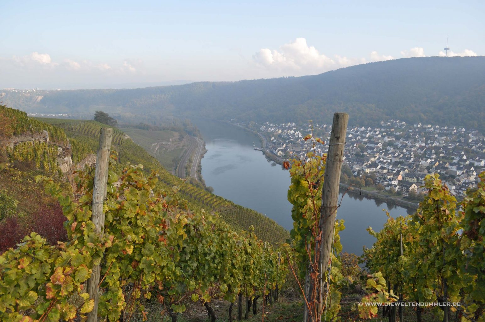 Ausblick auf die Mosel