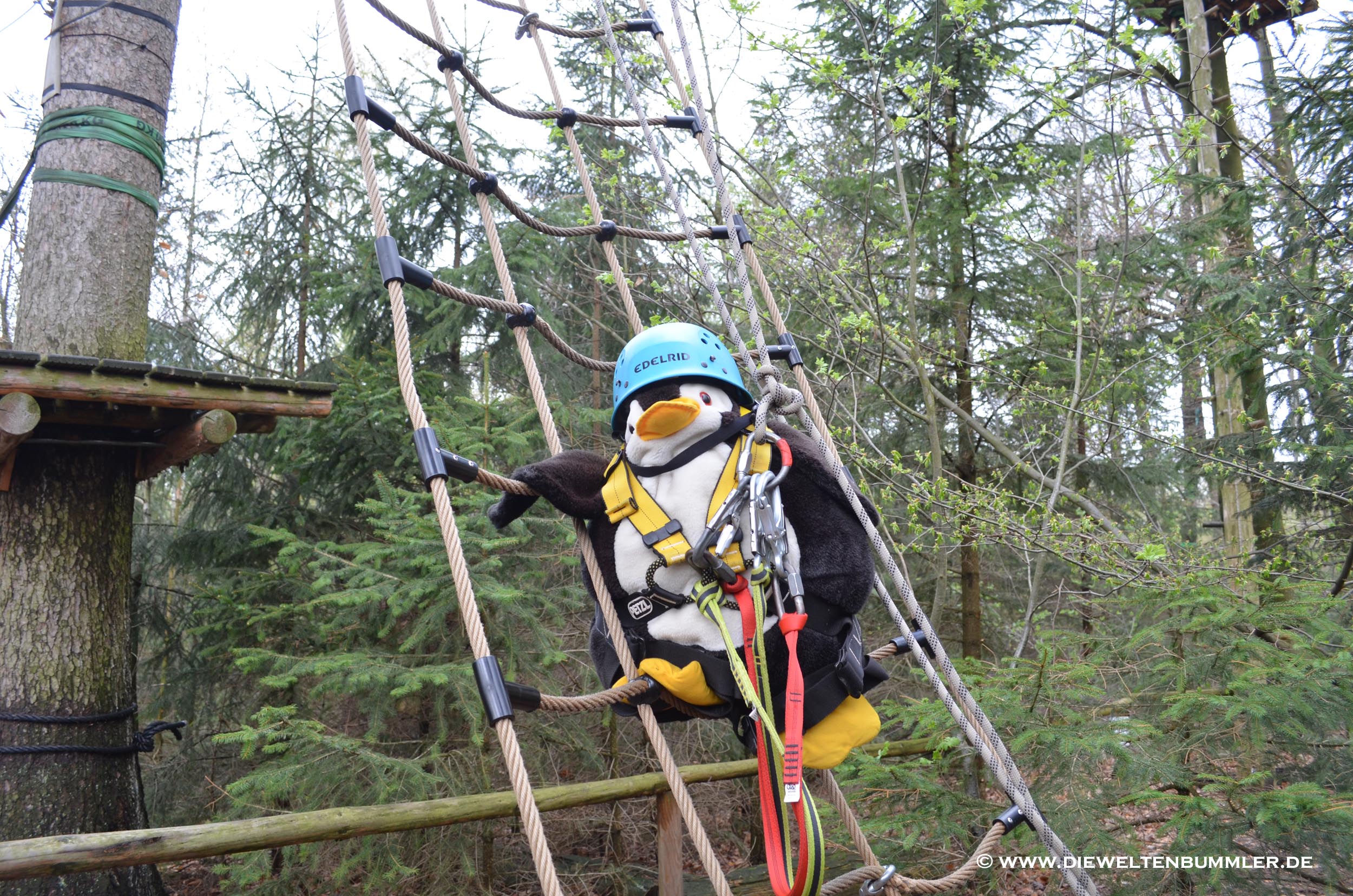 Im Kletterpark