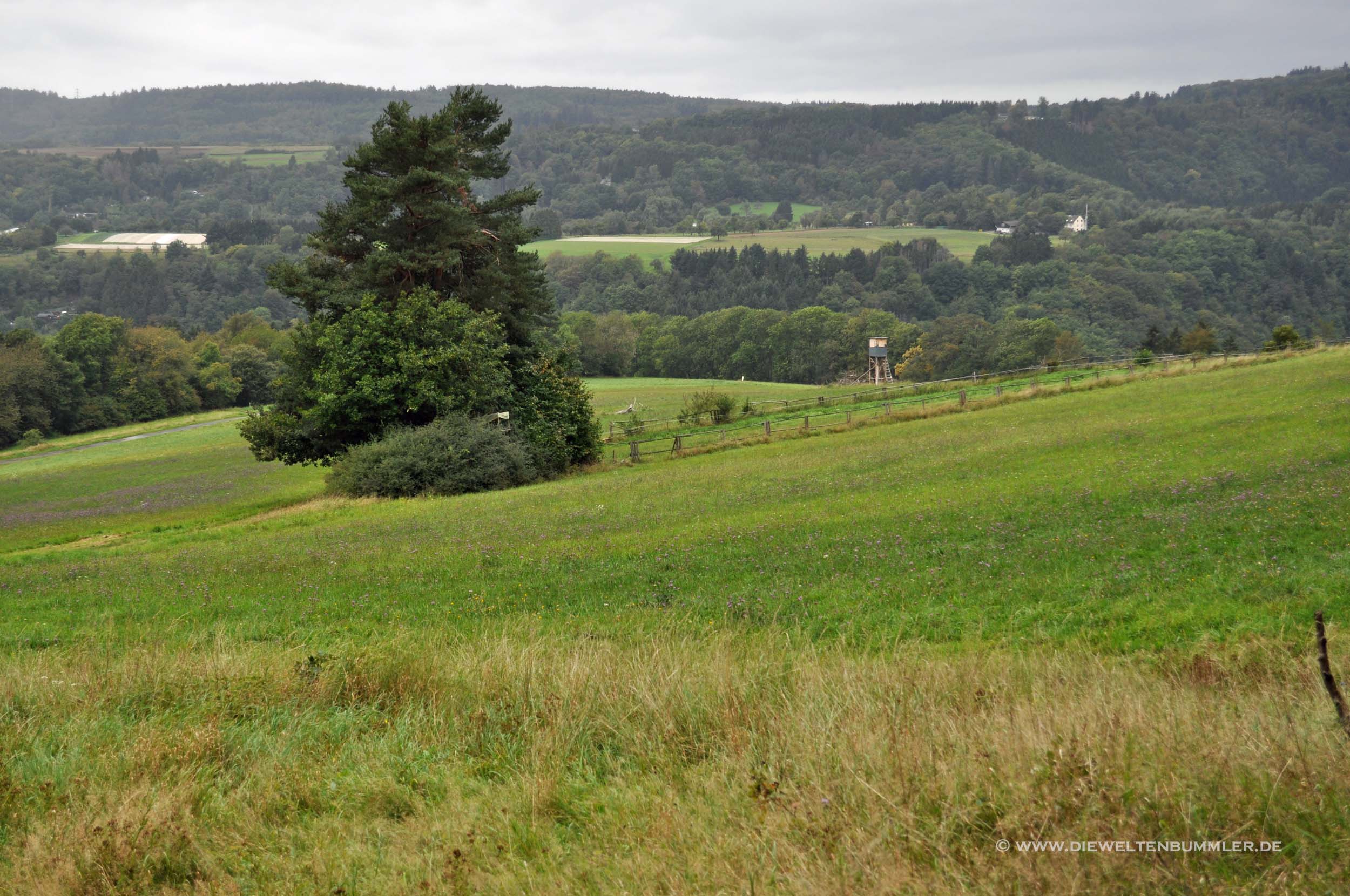 Landschaft bei Bad Ems Landschaft bei Bad Ems