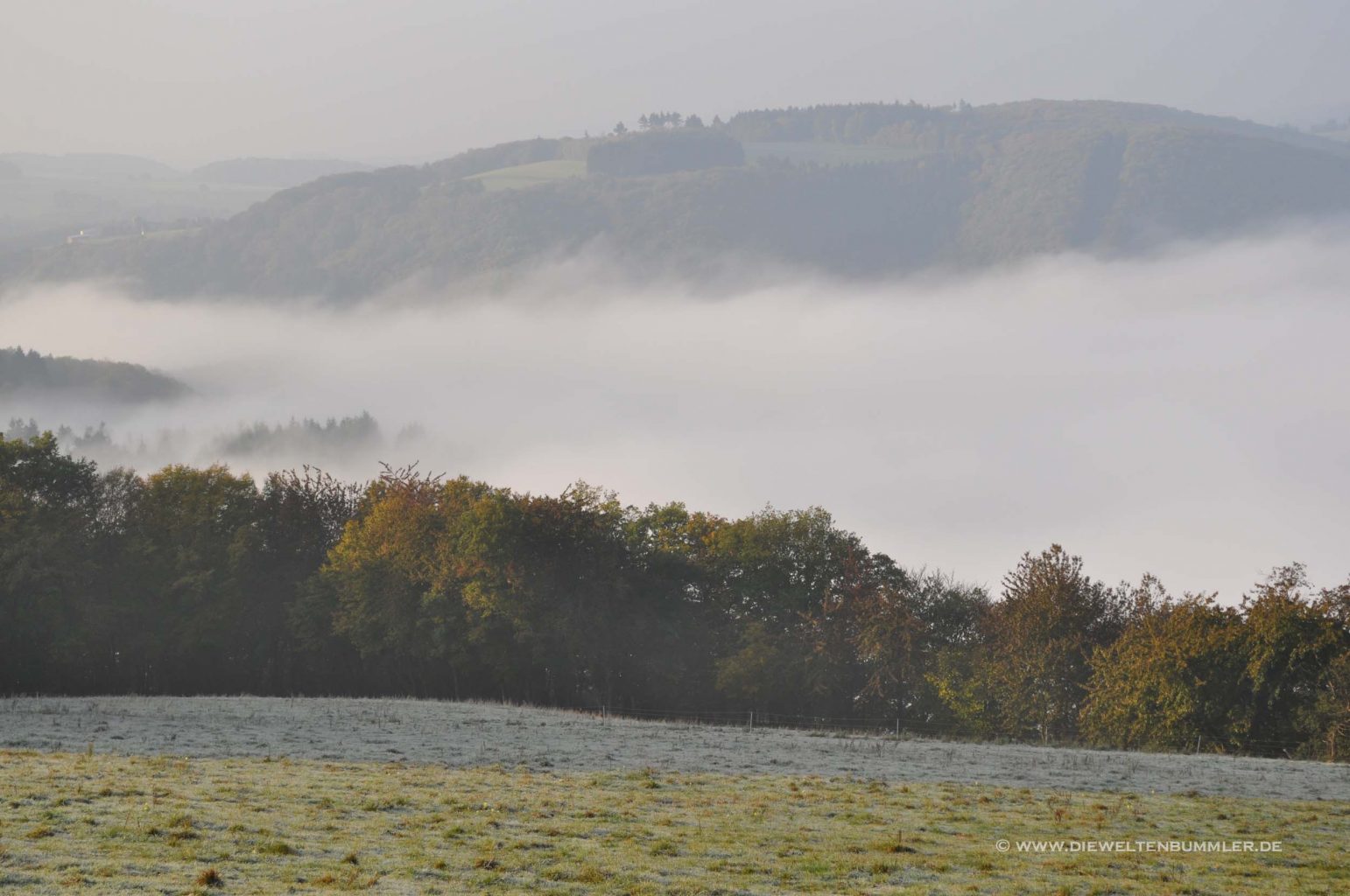 Nebel über der Mosel