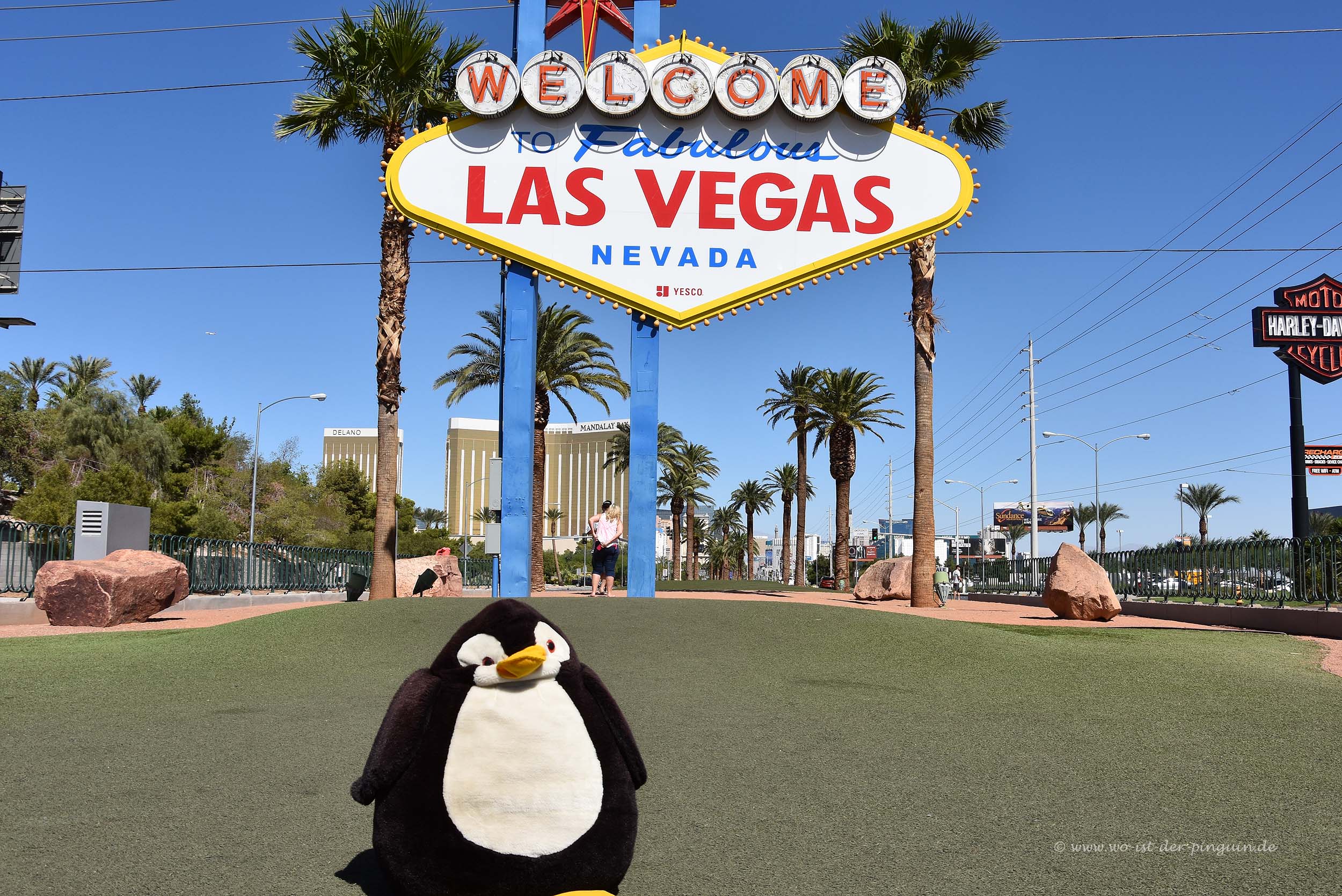 Pingu bei den Glücksspielern