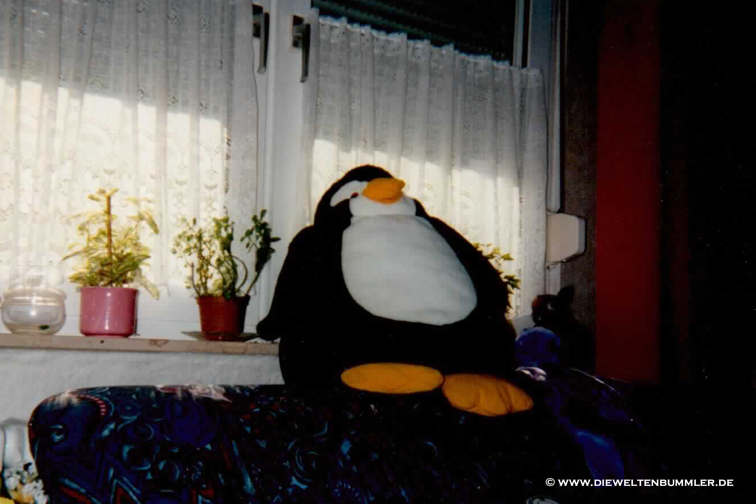 Pingus erstes Leben in den 90ern