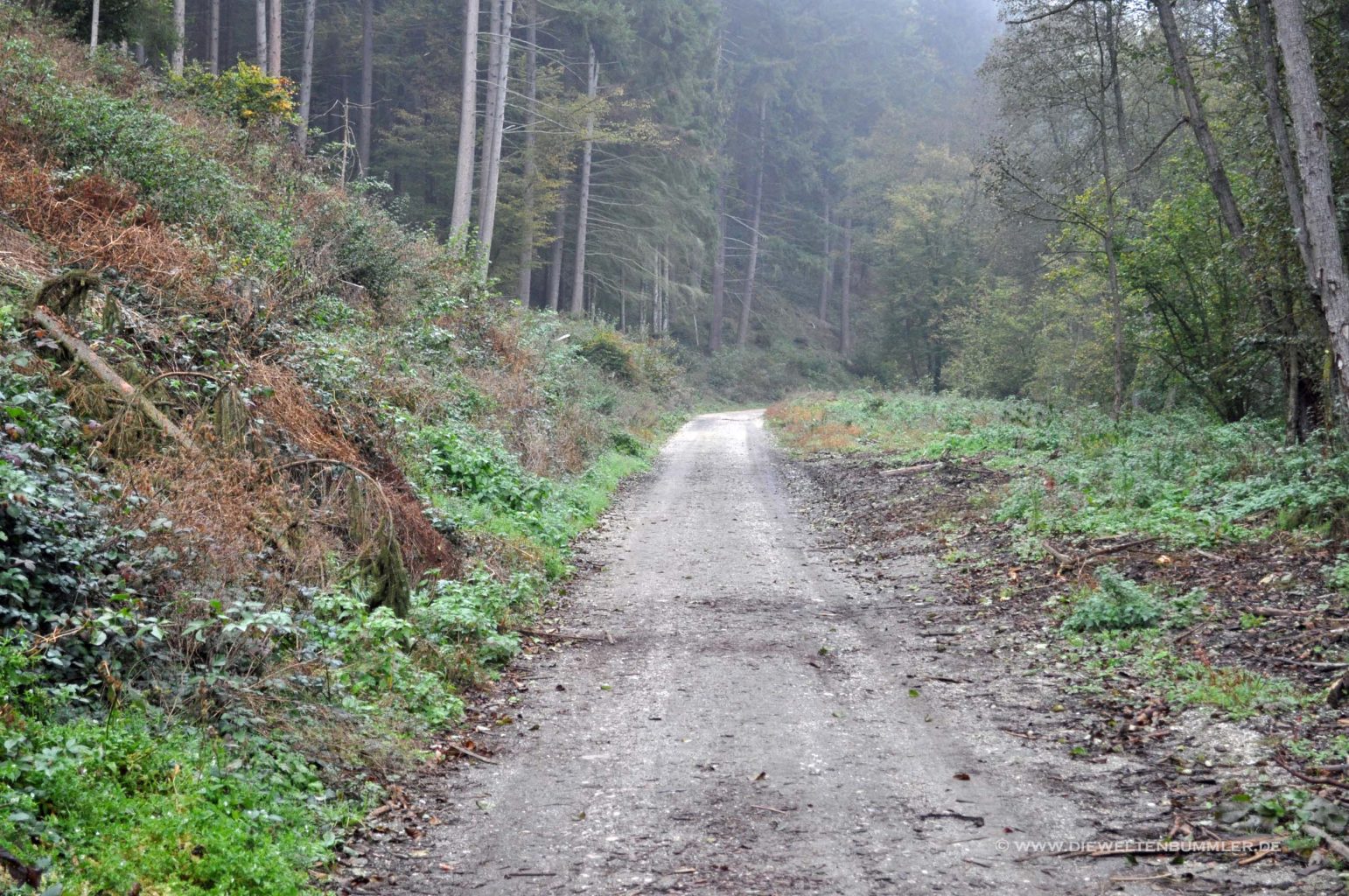 Wanderweg