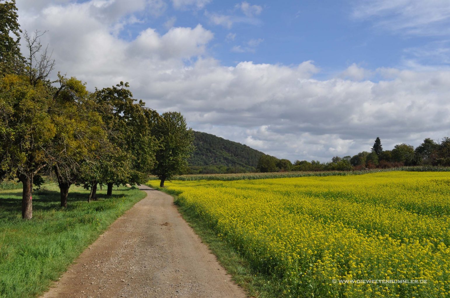 Wanderweg bei Koblenz