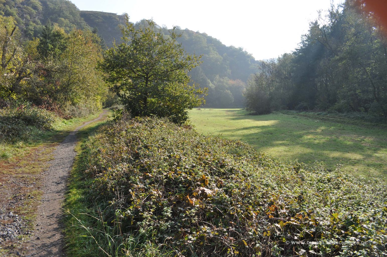 Wanderweg bei Koblenz