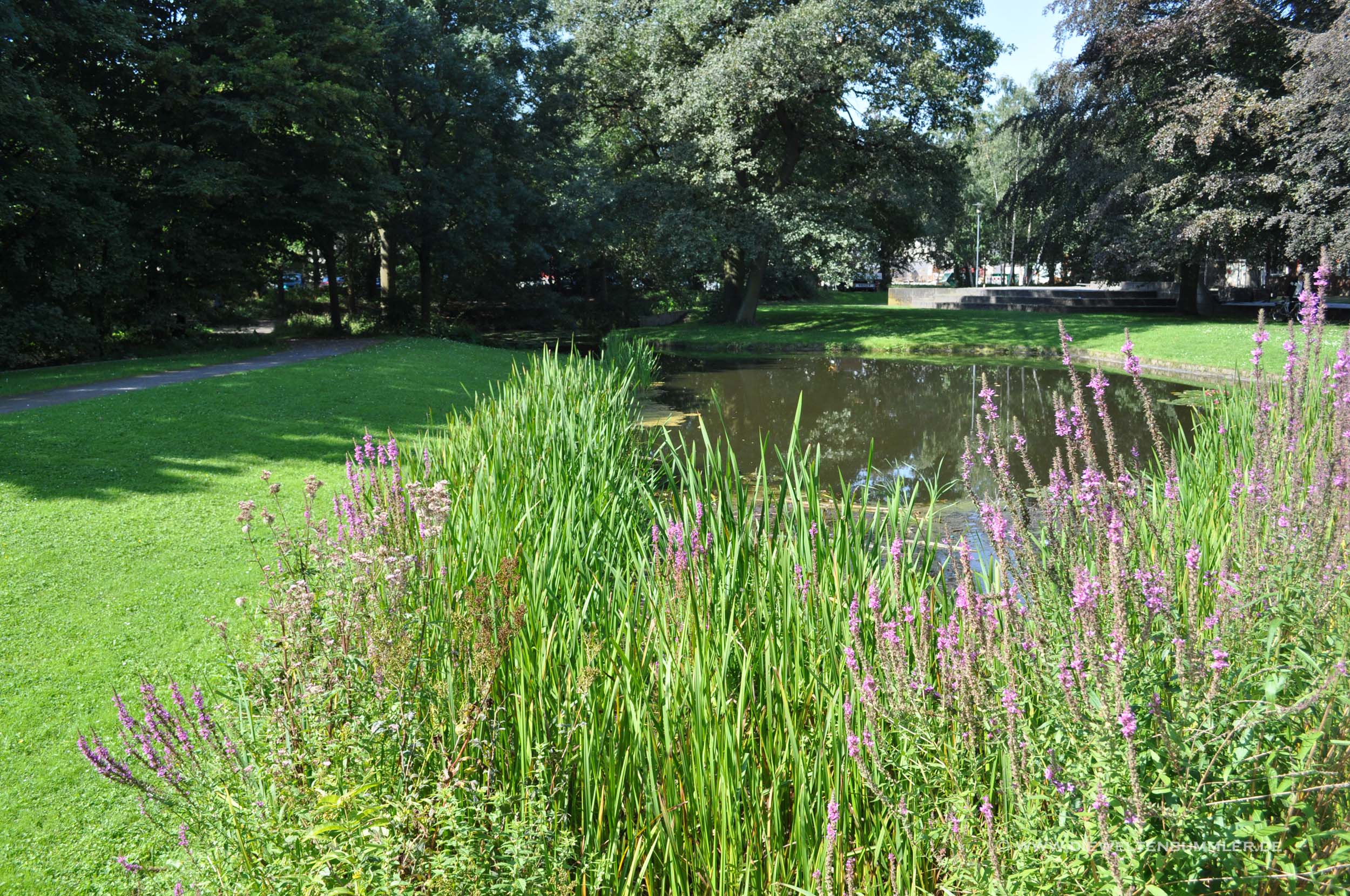 Kleiner Teich Kleiner Teich