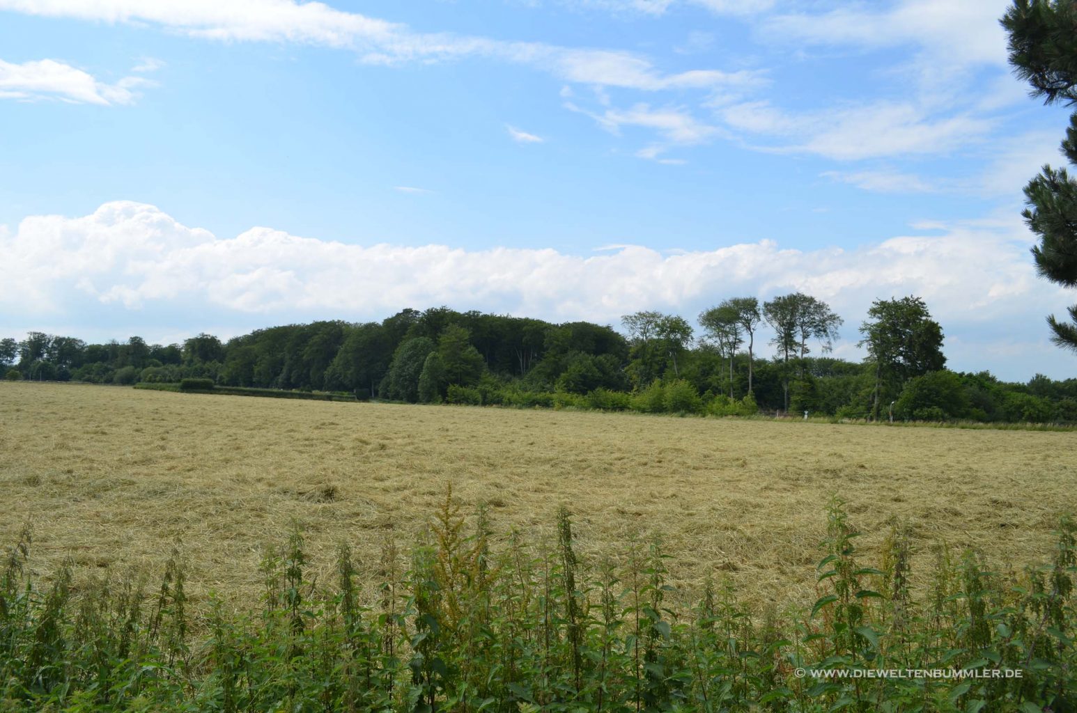 Landschaft bei Dortmund