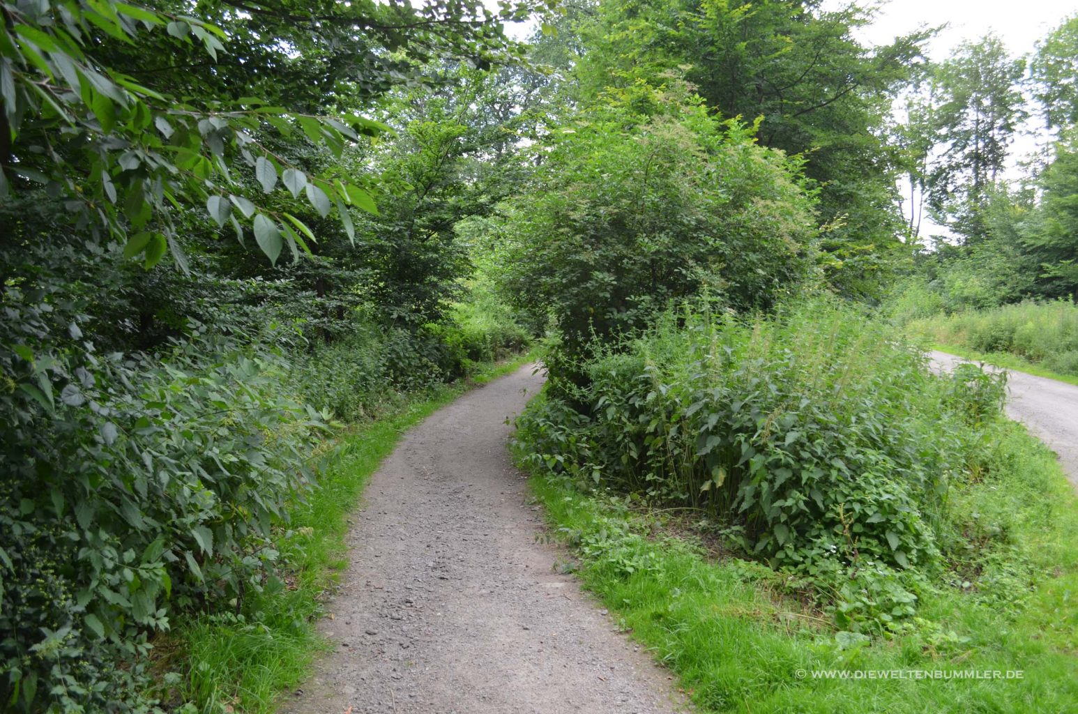 Wanderweg in Dortmund