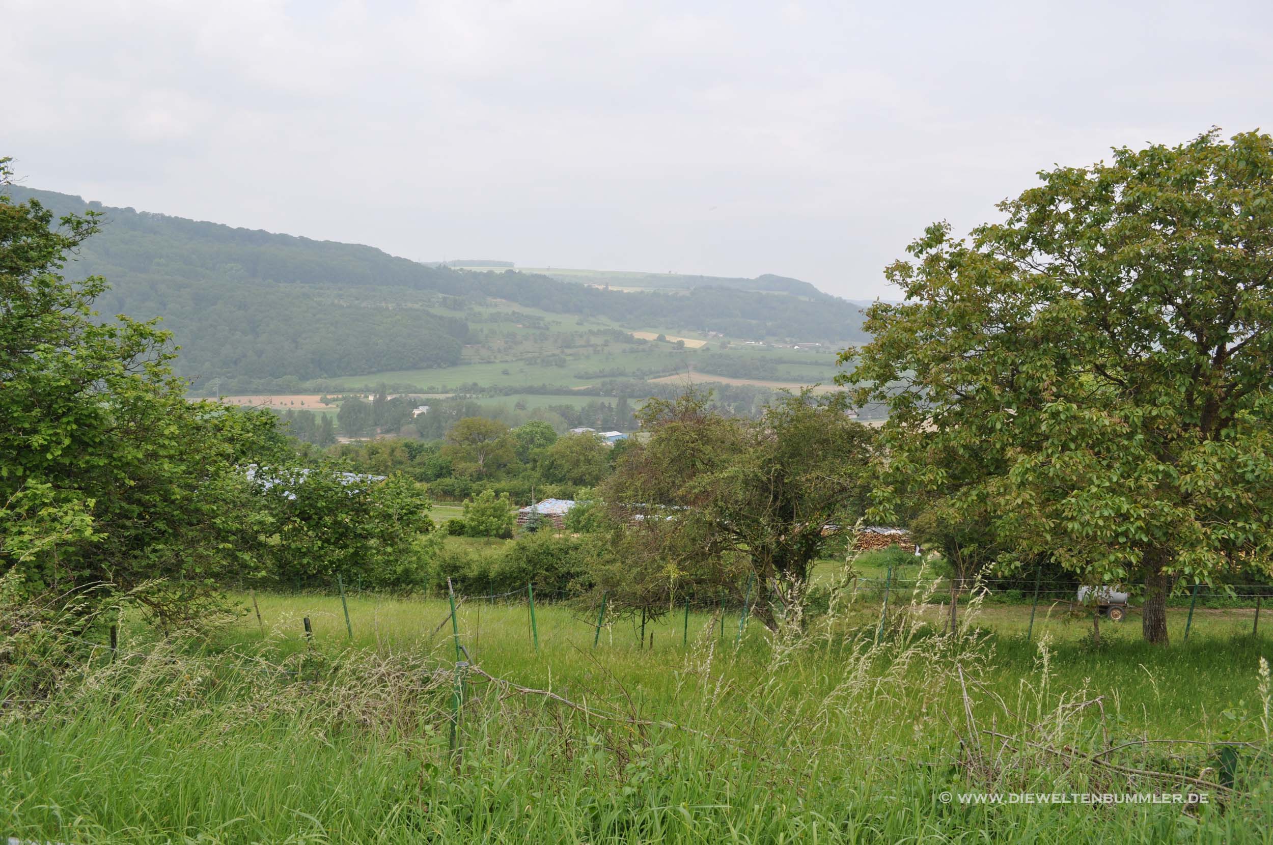 Landschaft oberhalb der Mosel