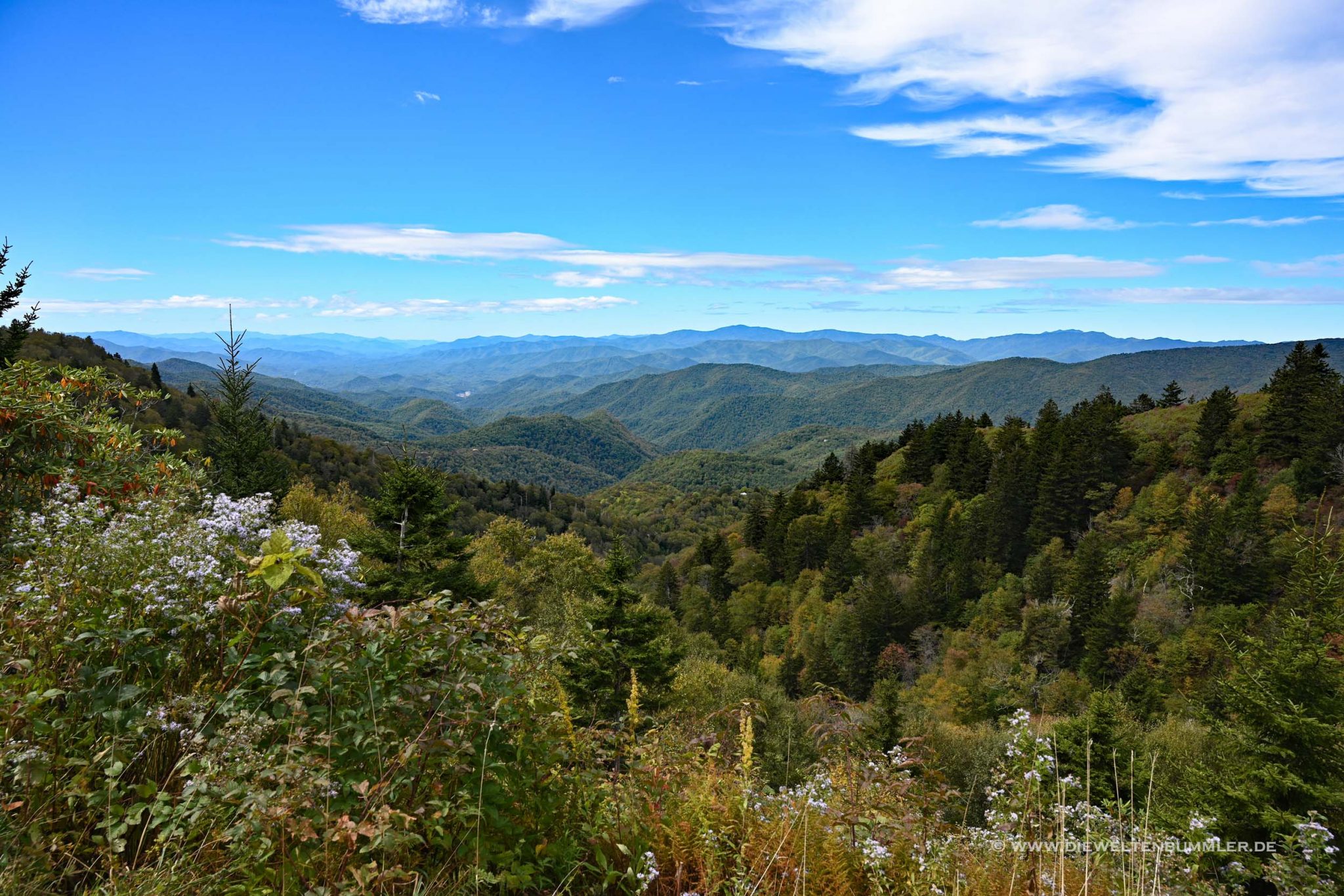 Roadtrip auf dem Blue Ridge Parkway - Die Weltenbummler