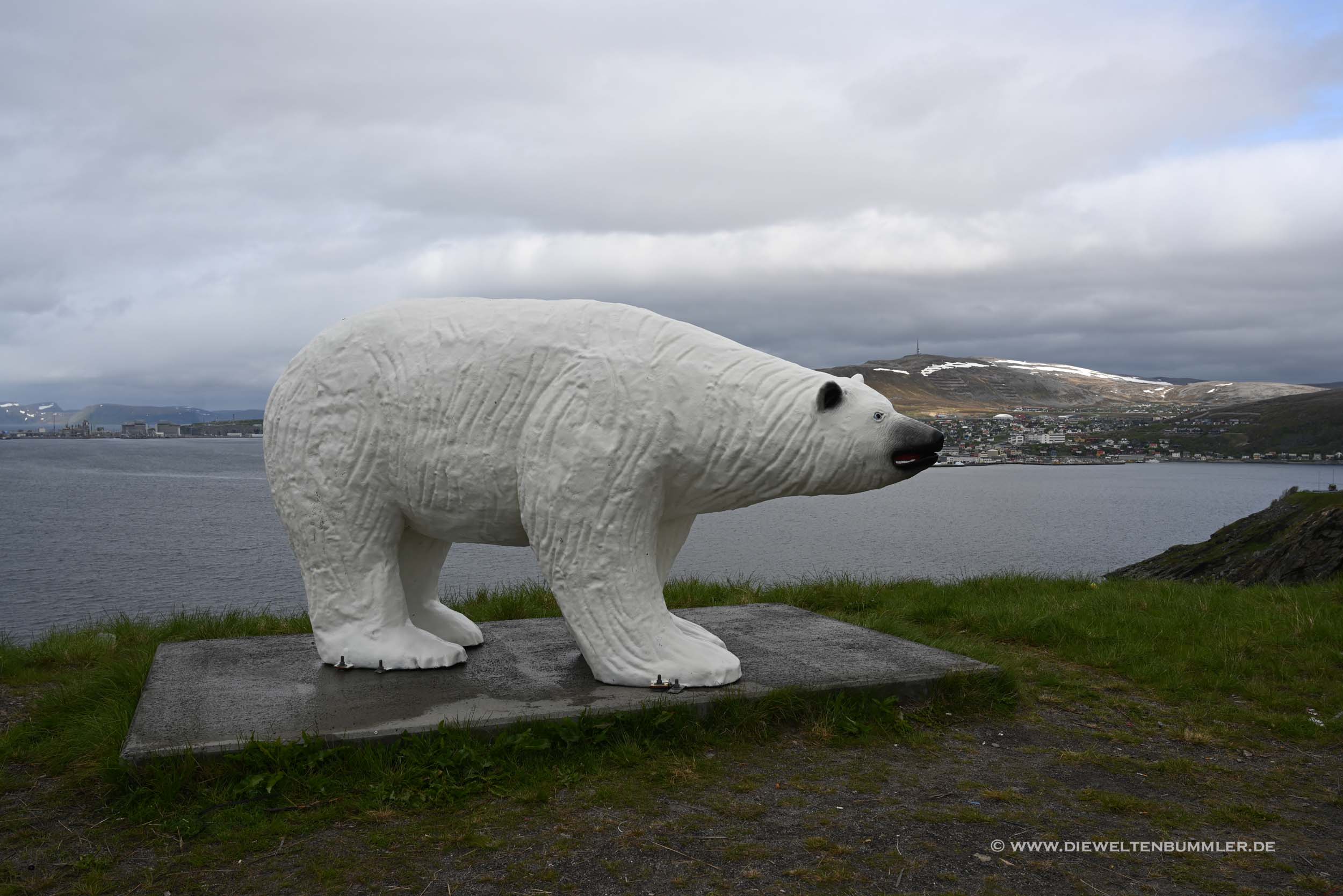Eisbär bei Hammerfest