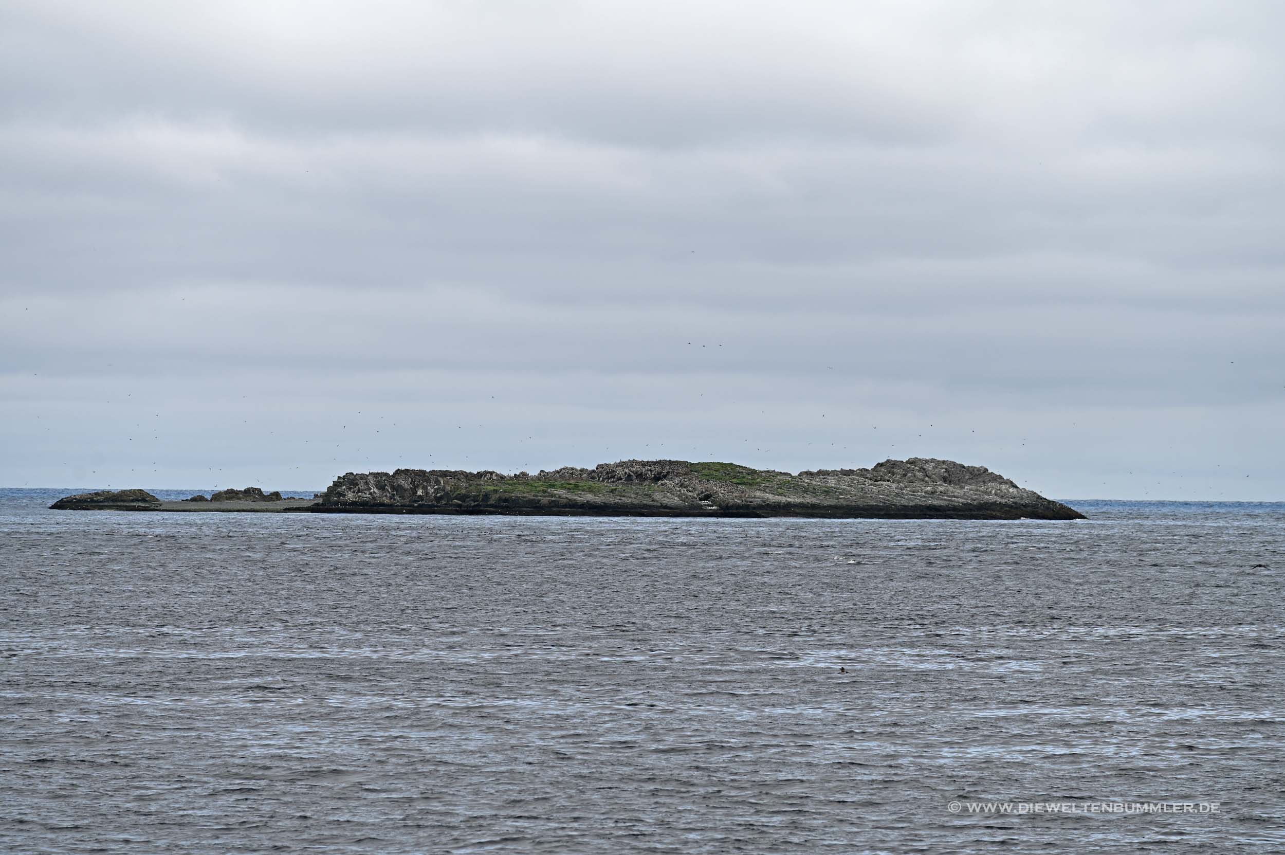 Die kleine Insel Avløysa