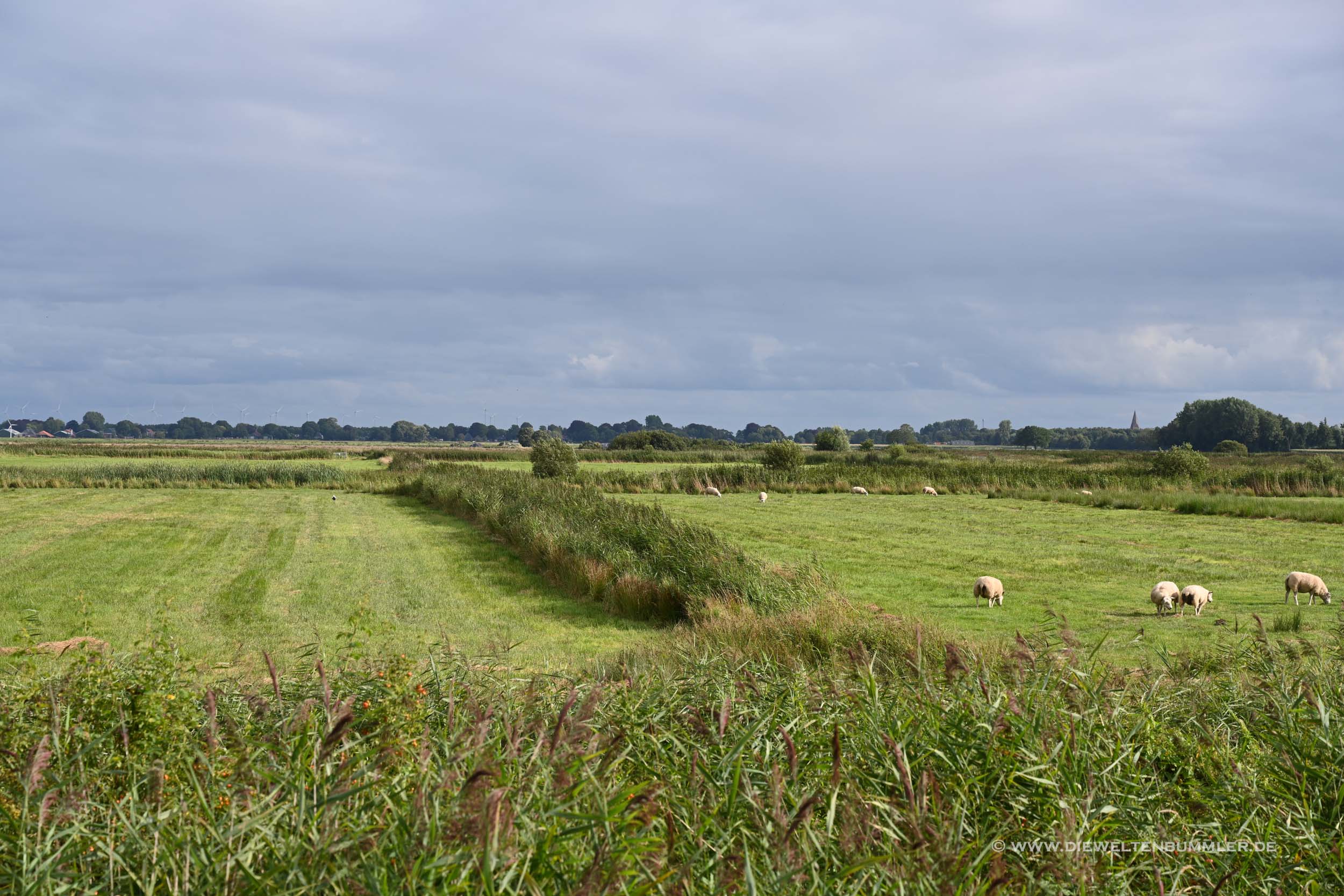 Landschaft am Schildmeer