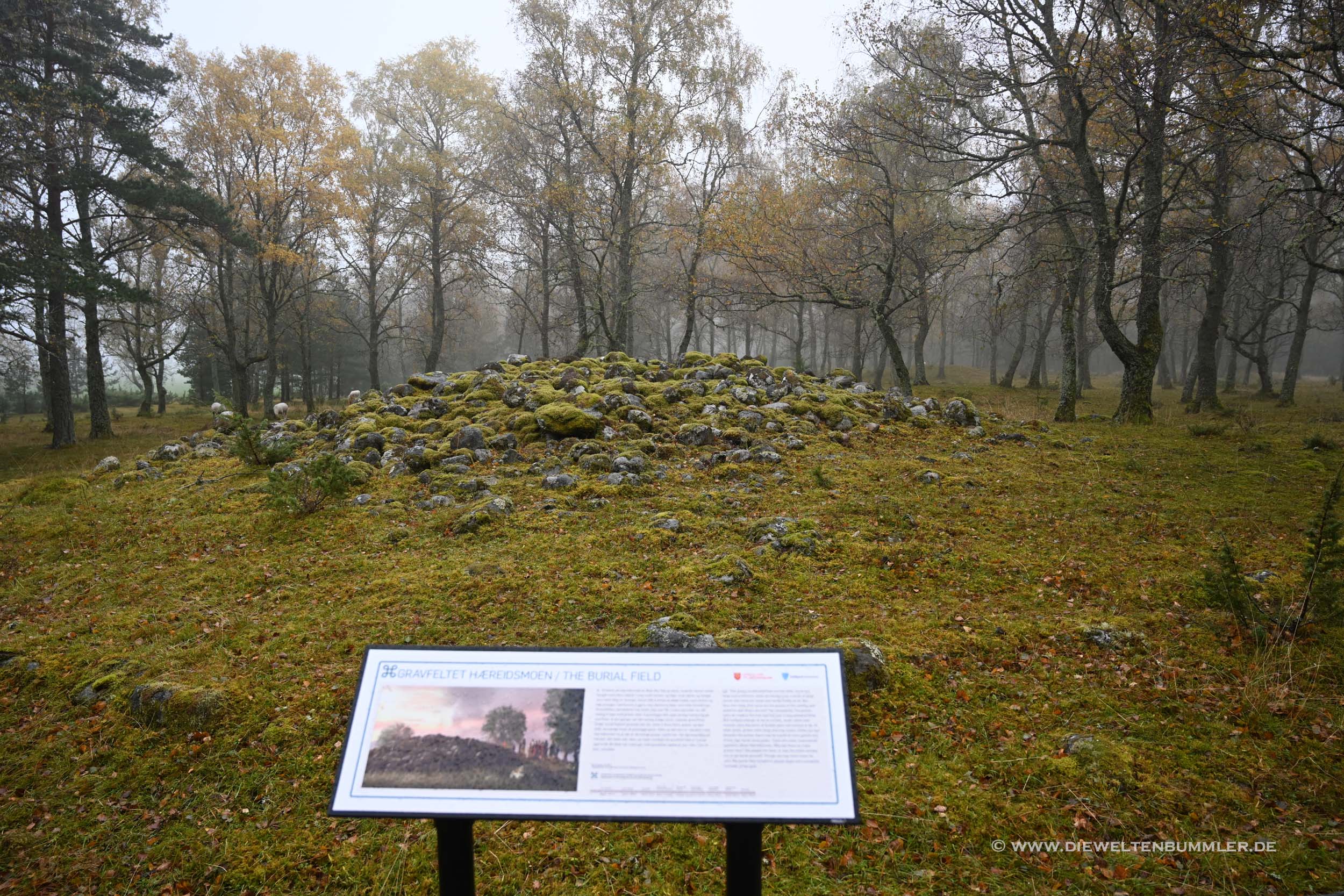 Grabhügel Grabhügel