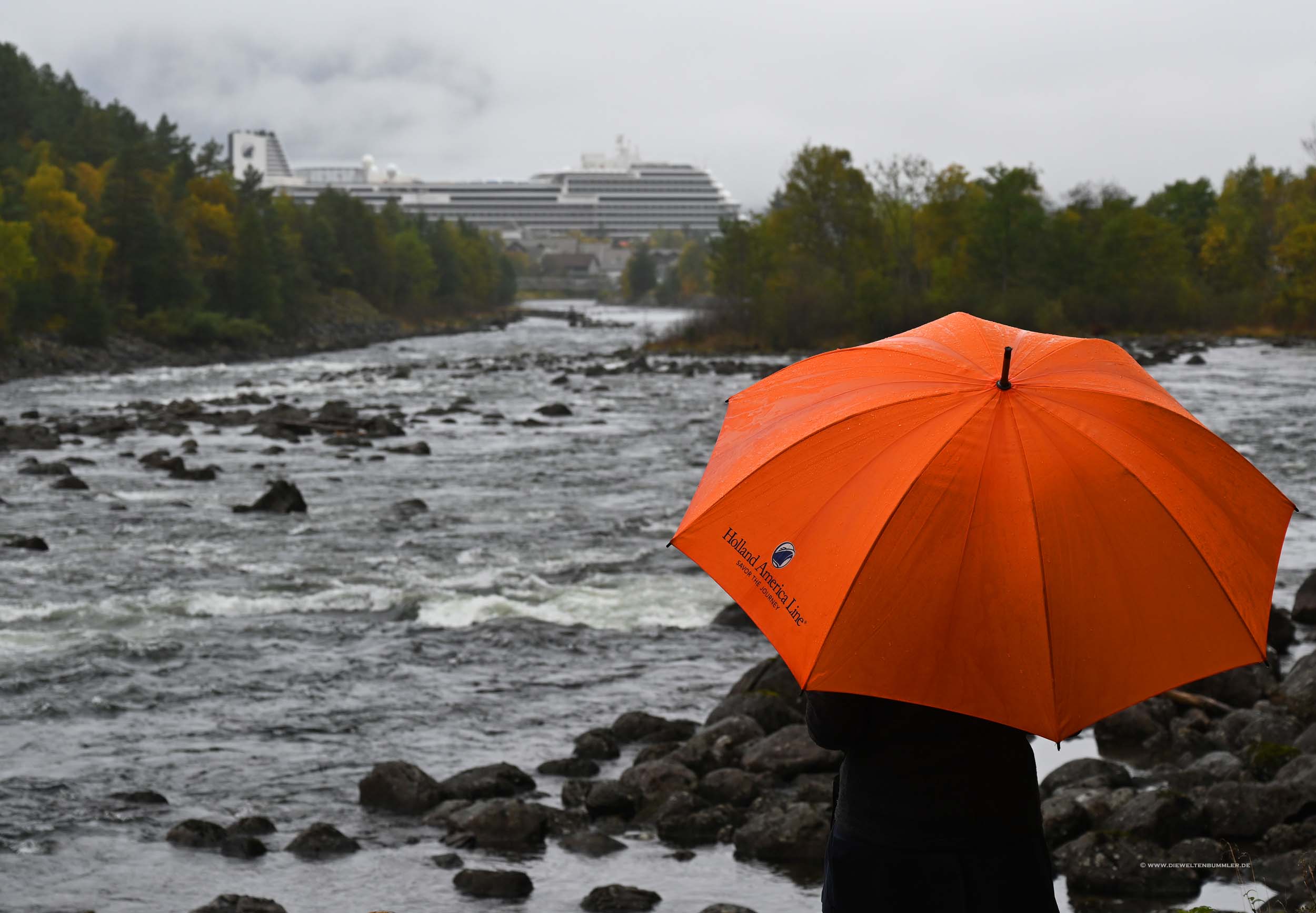 Holland America Line-Schirm Holland America Line-Schirm