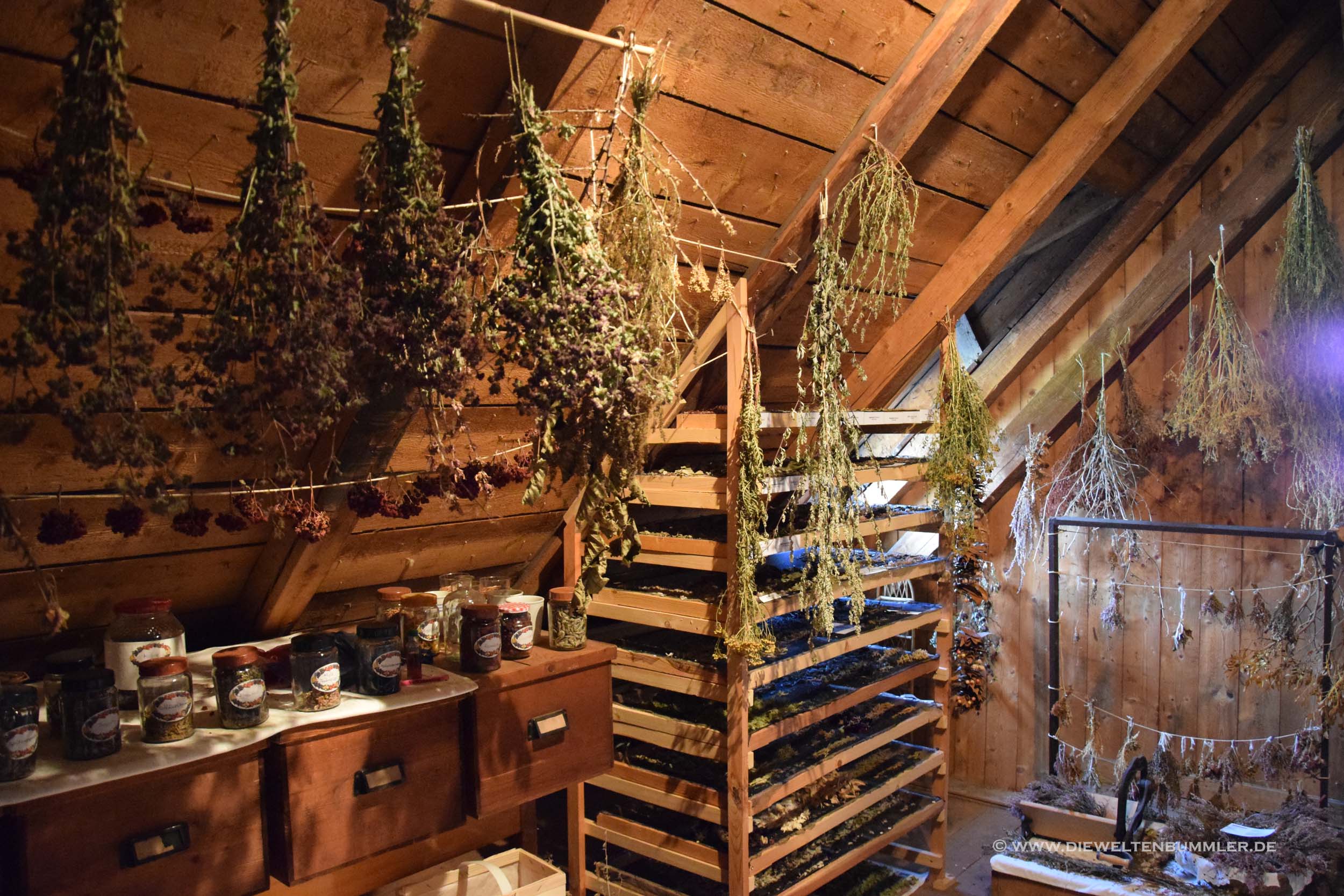 Olitätenmuseum Olitätenmuseum