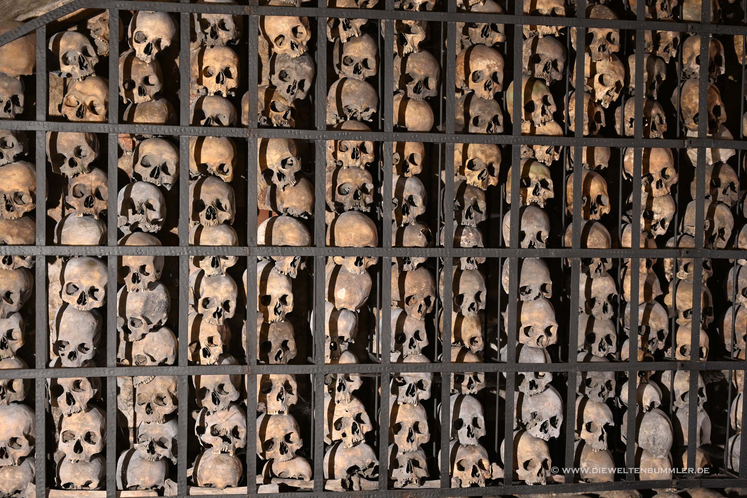 Schädel in der Brigittenkirche Schädel in der Brigittenkirche