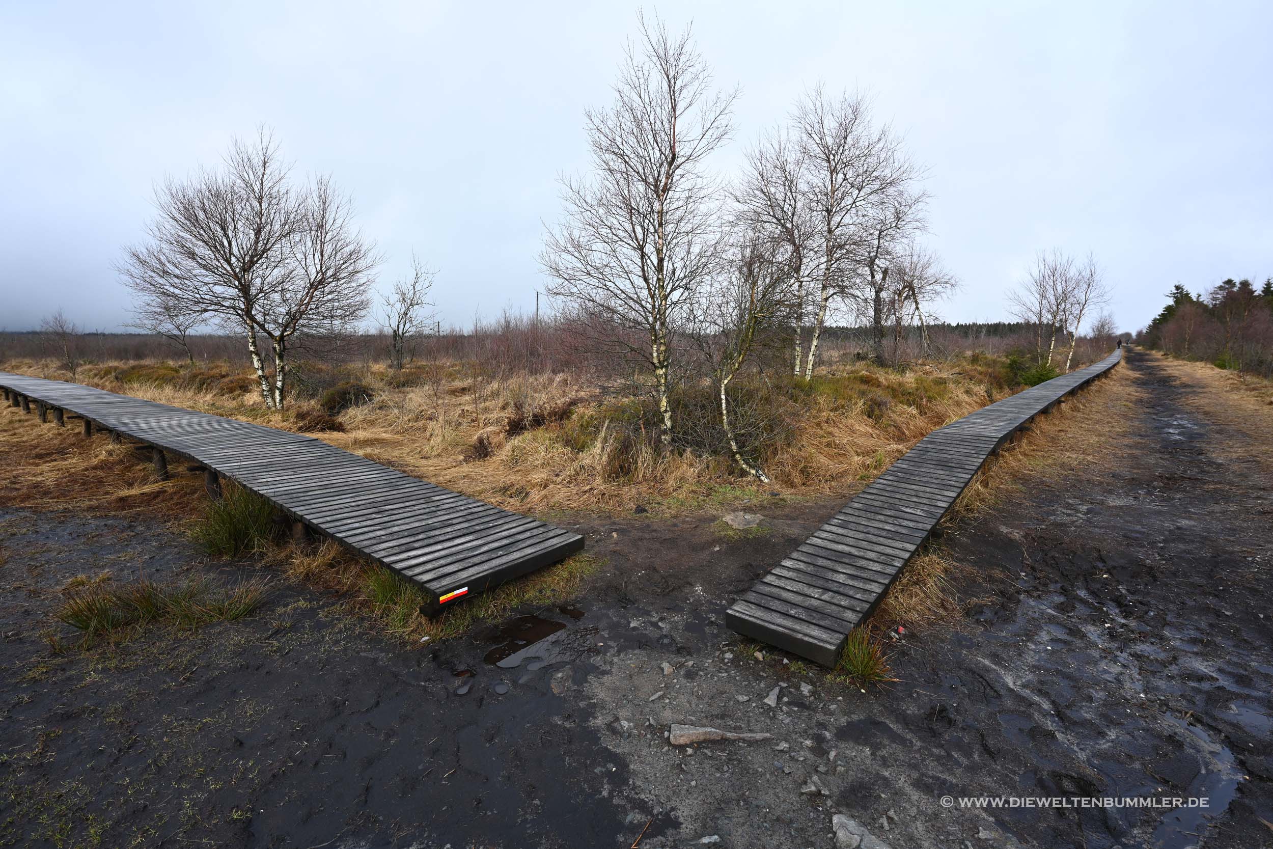 Holzbohlenwege Holzbohlenwege