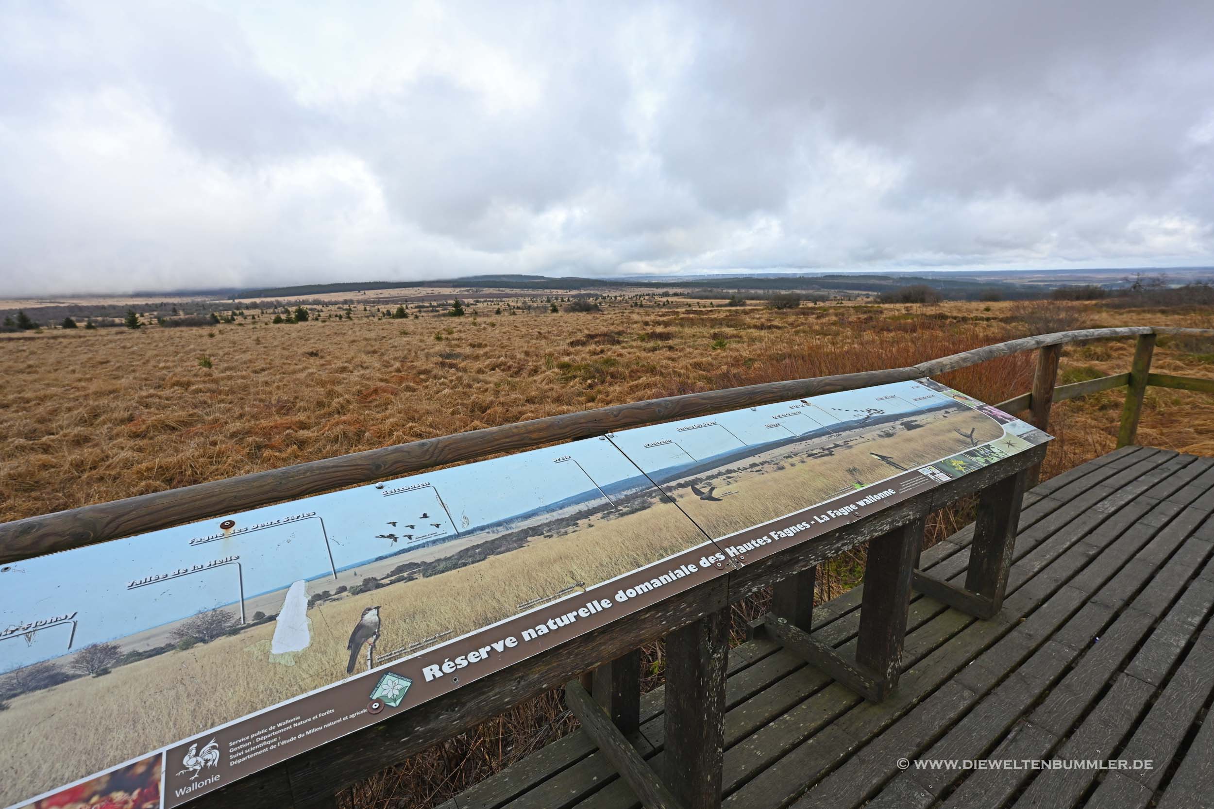 Infotafel im Hohen Venn Infotafel im Hohen Venn