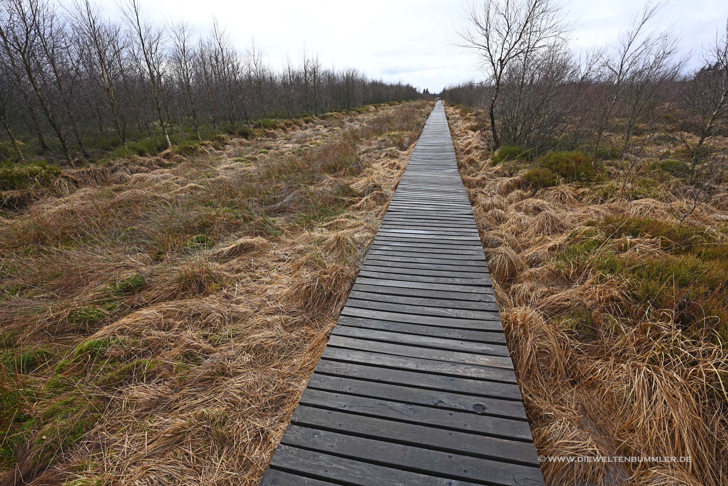 Wanderweg im Hohen Venn Wanderweg im Hohen Venn