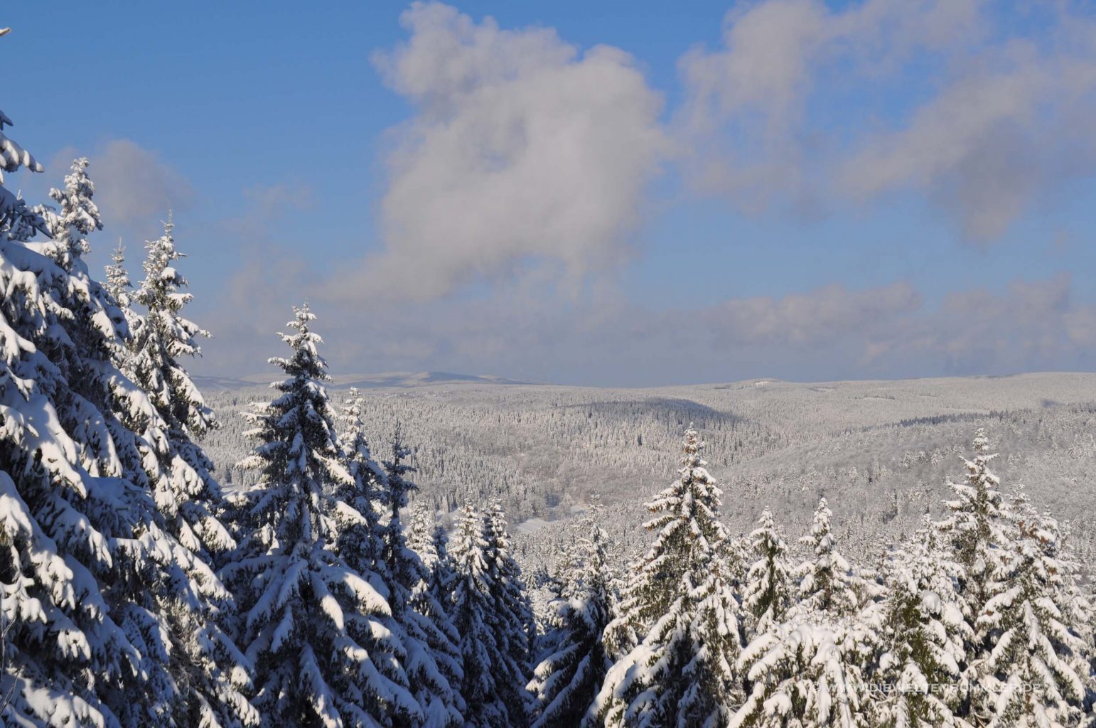 Kleiner Thüringer Wald