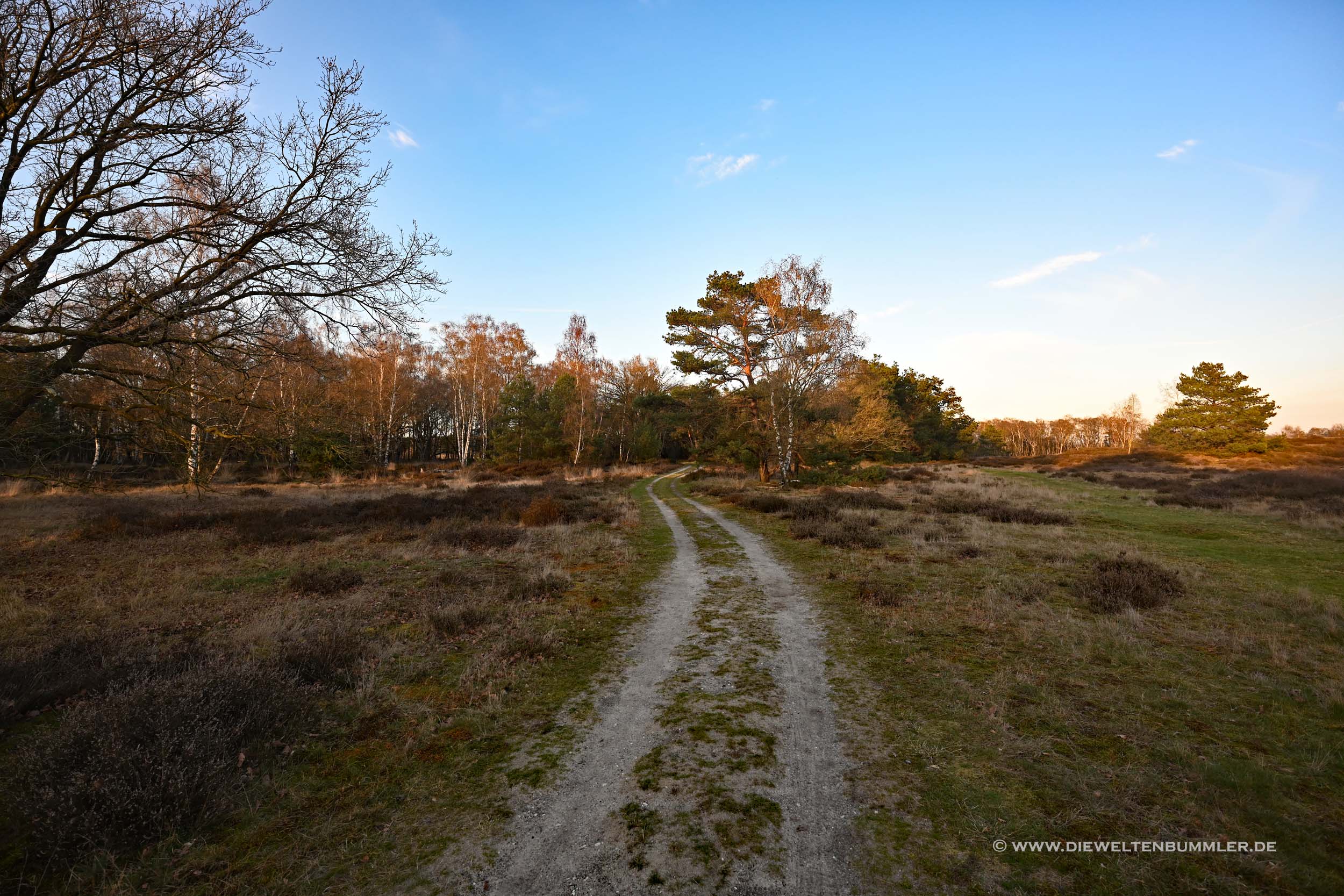 Nationalpark De Maasduinen